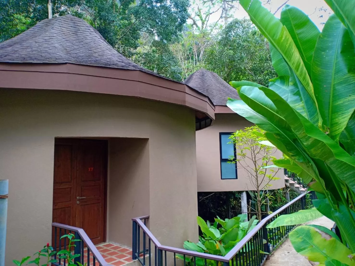 Property Building in Rock and Tree House Resort