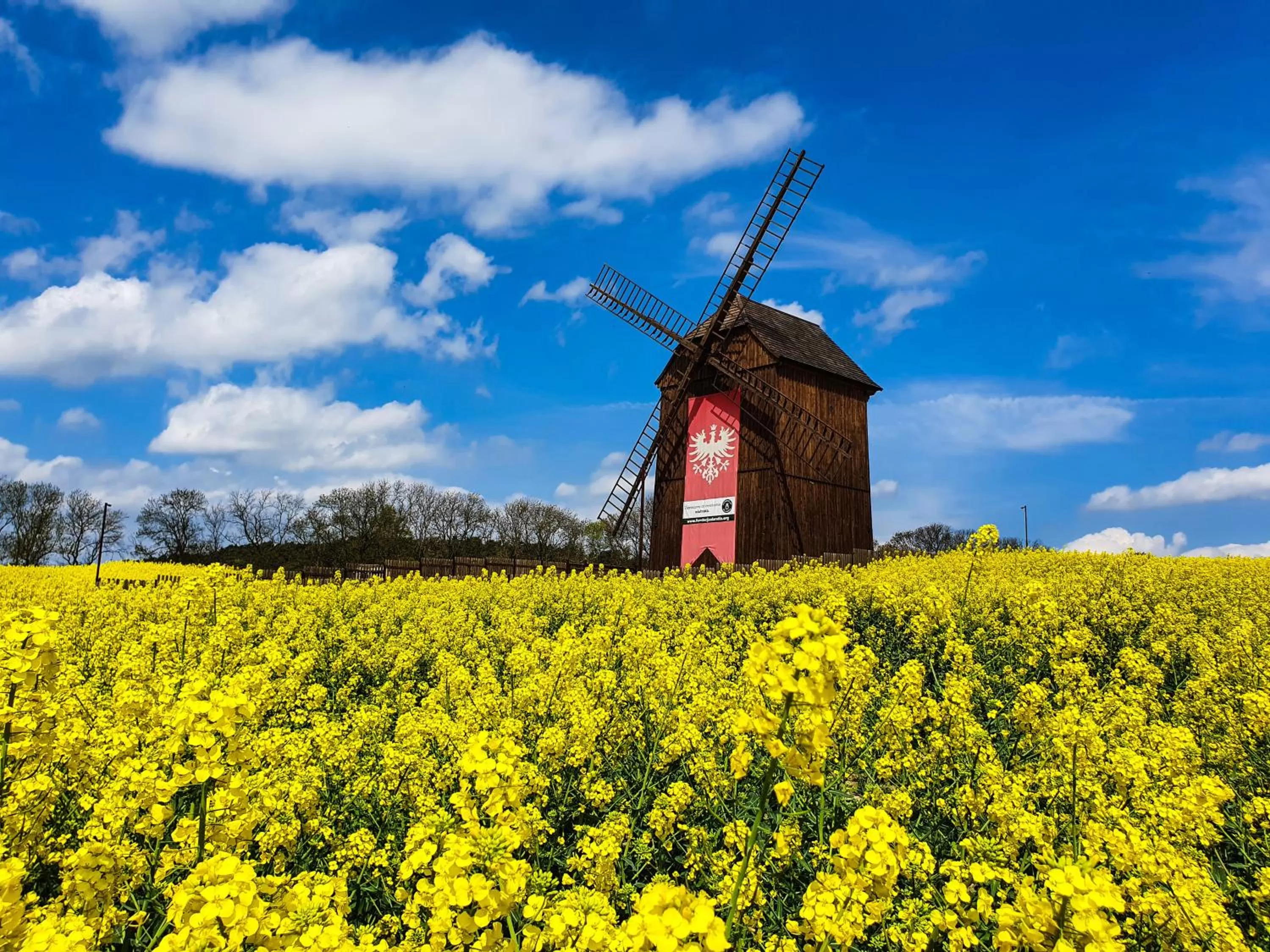 Nearby landmark, Property Building in Olandia