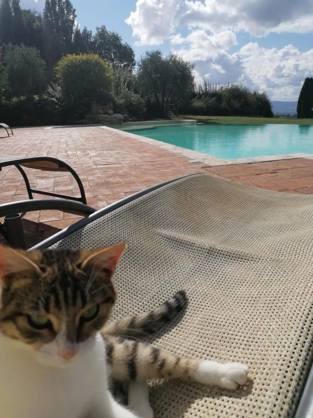 Pets in Hotel Borgo Di Cortefreda - Place of Charme