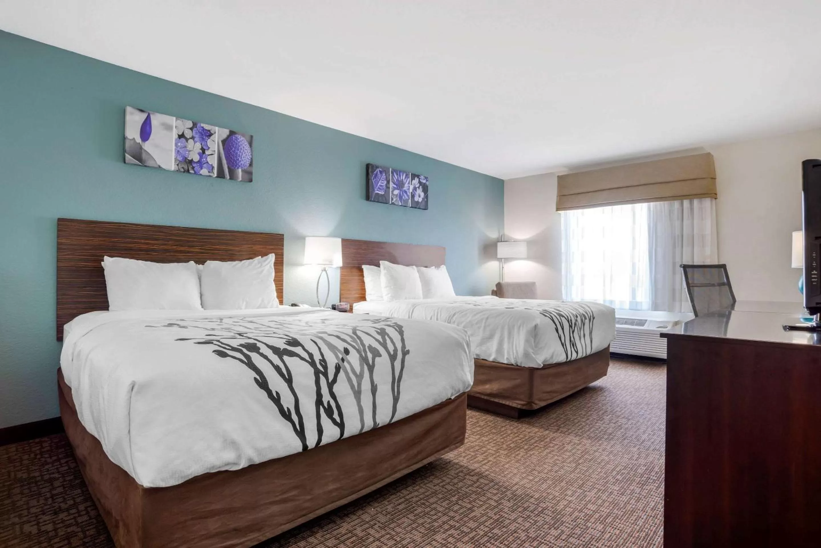 Queen Room with Two Queen Beds - Accessible/Non-Smoking  in Sleep Inn & Suites Auburn Campus Area I-85