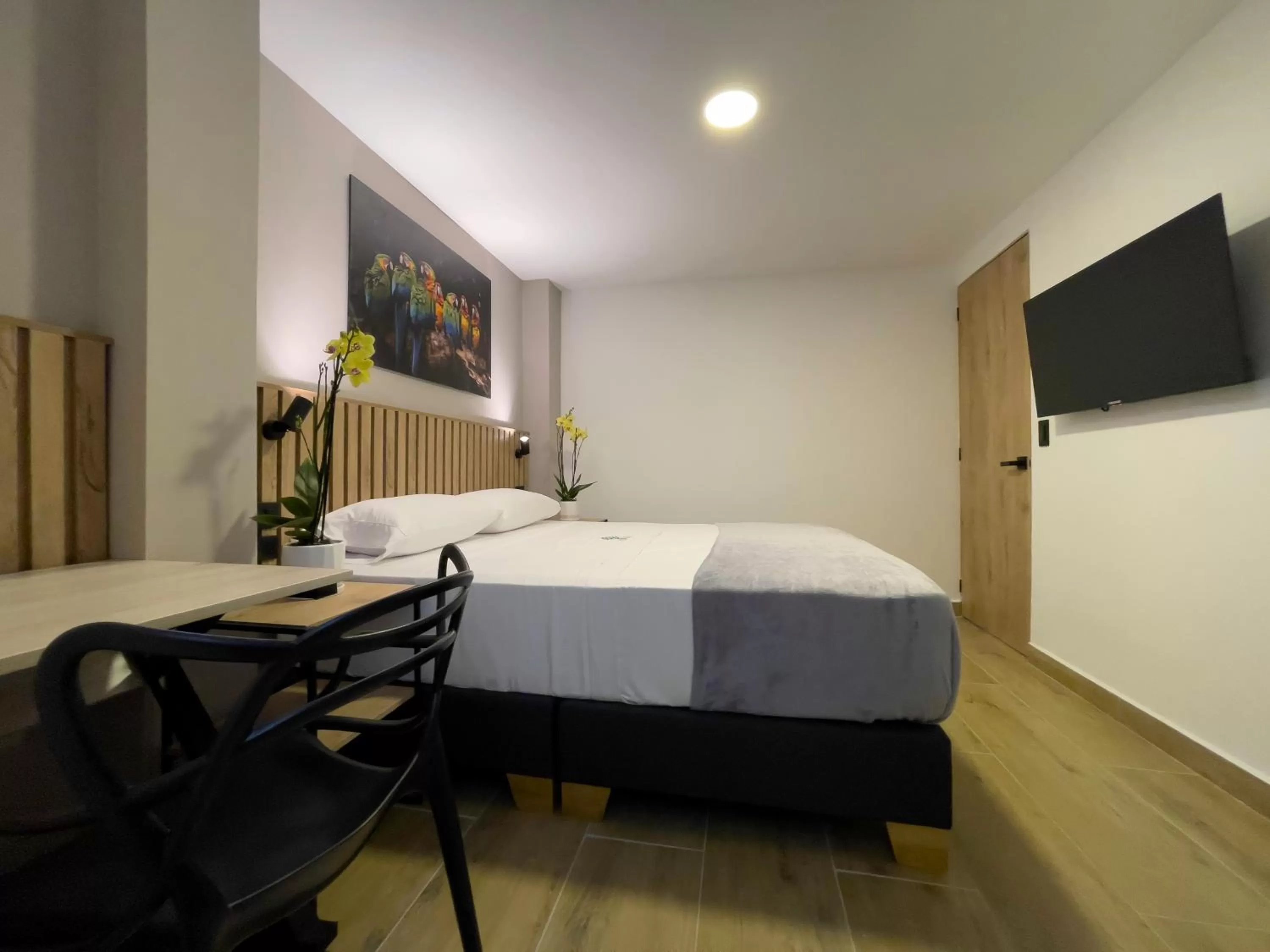 TV and multimedia, Bed in Vita Hotel Boutique