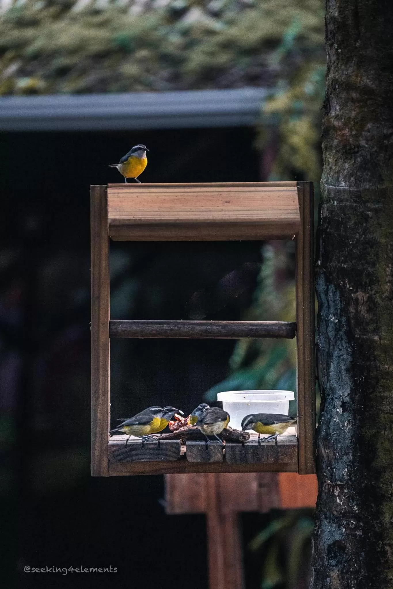 Pousada e Hostel Marthi