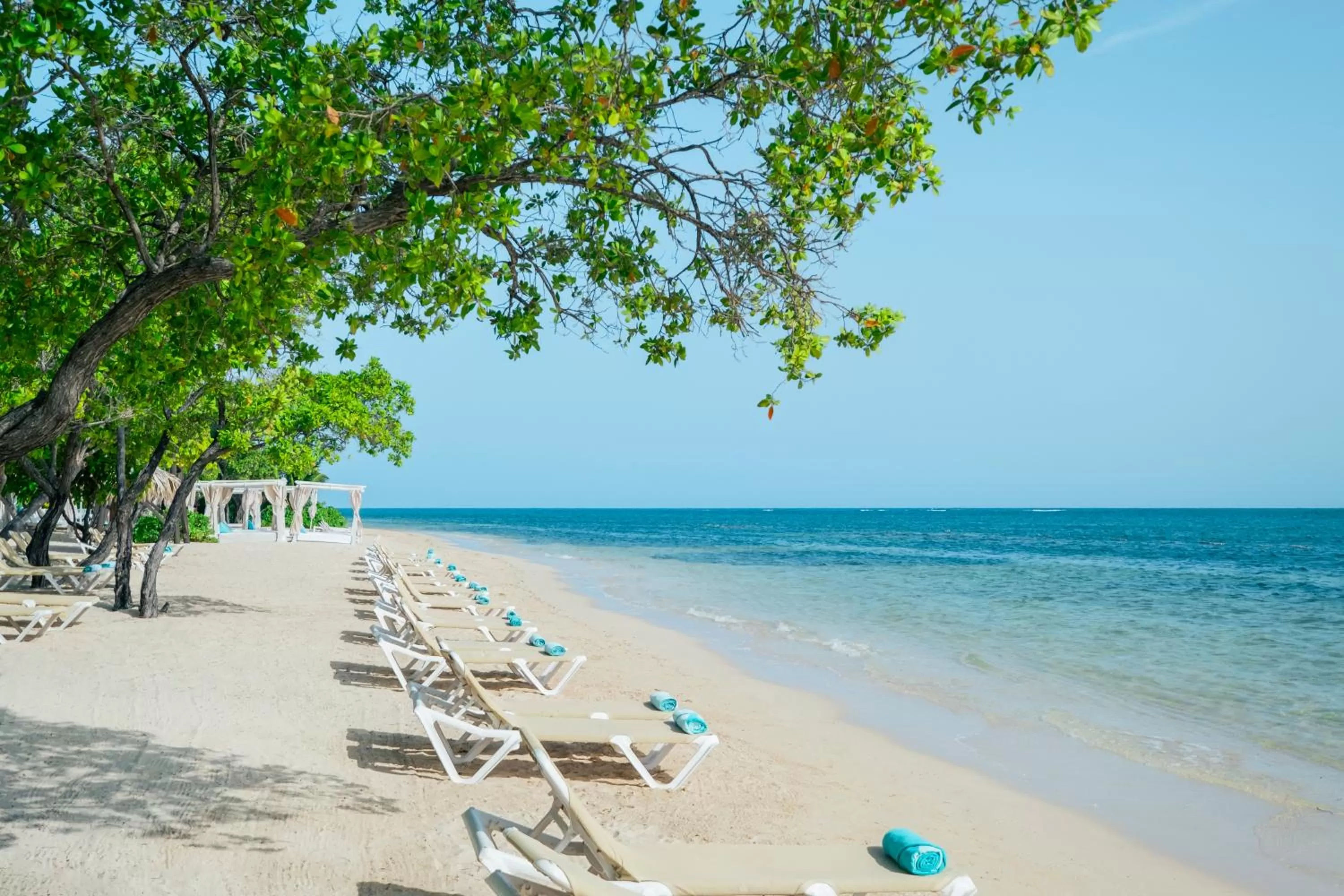 Beach in Iberostar Waves Rose Hall Beach - All Inclusive