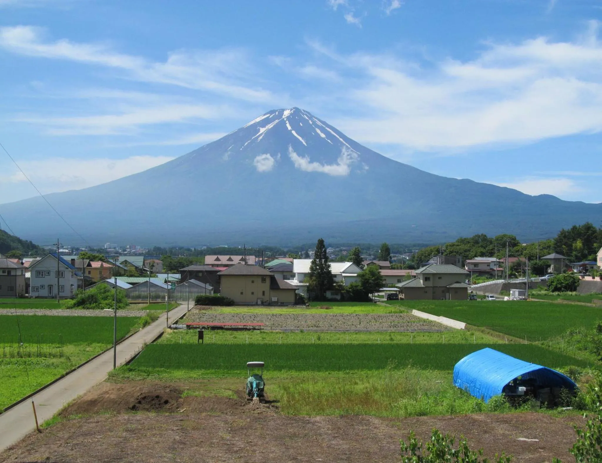 View (from property/room) in Villa Orange Cabin