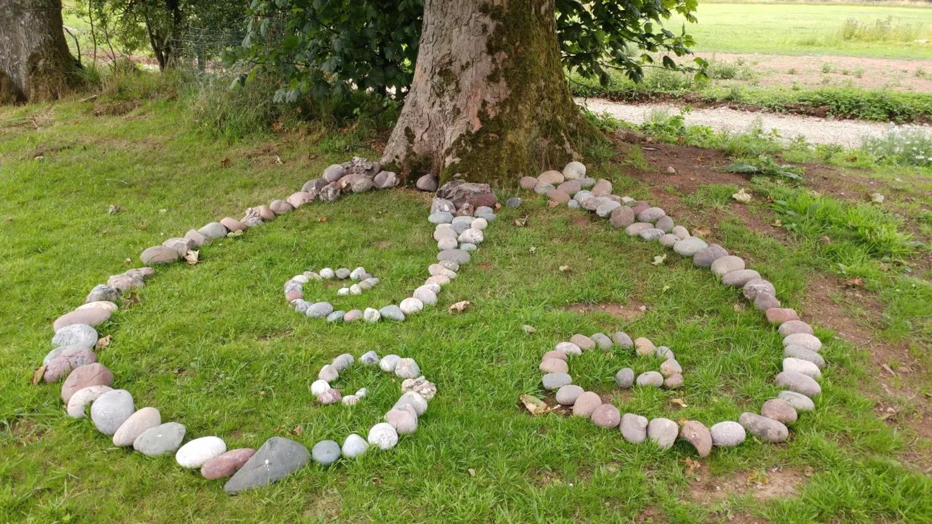 Decorative detail, Garden in Wagtail Lodge