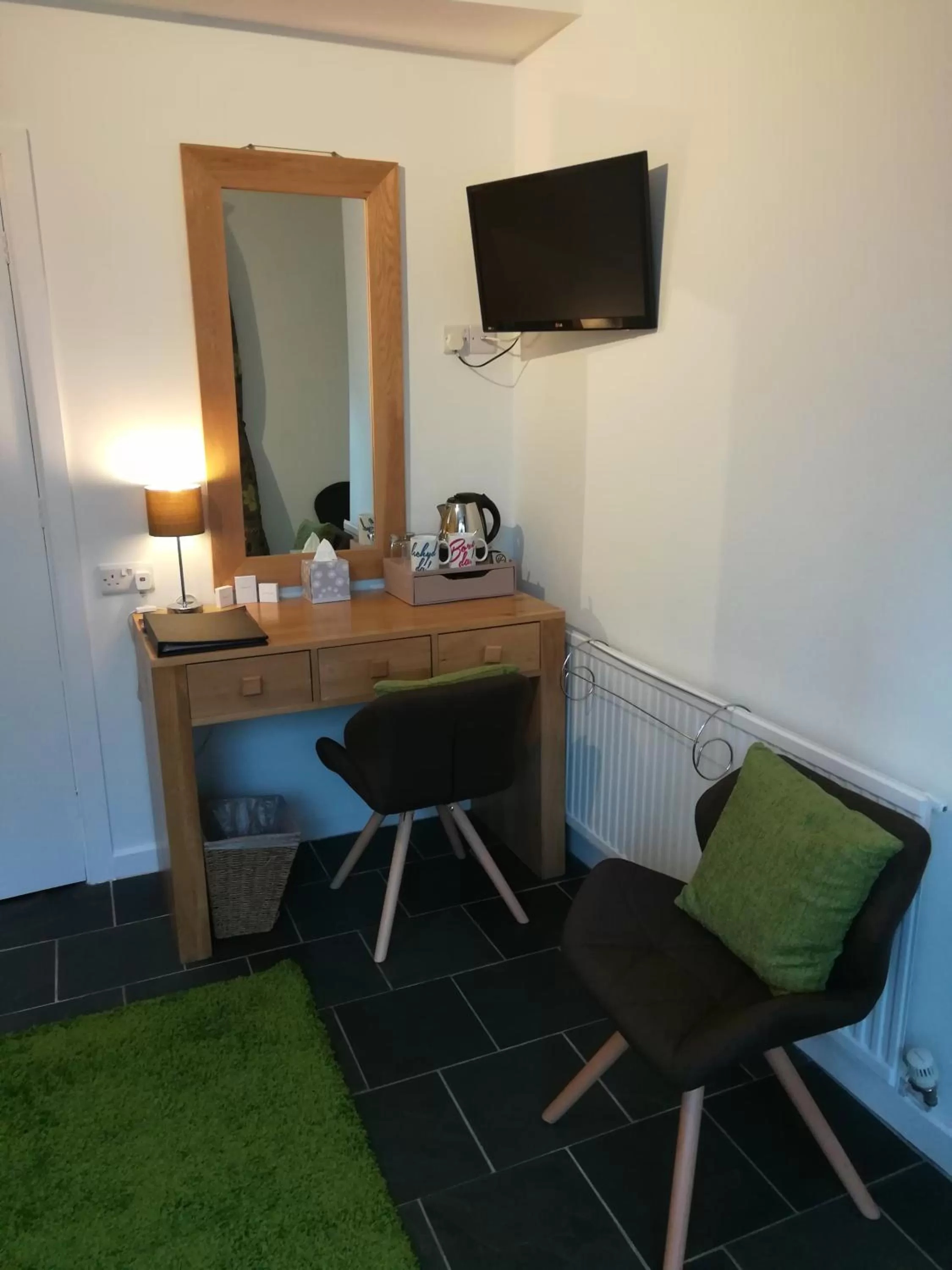 Shower in Aberconwy House B&B