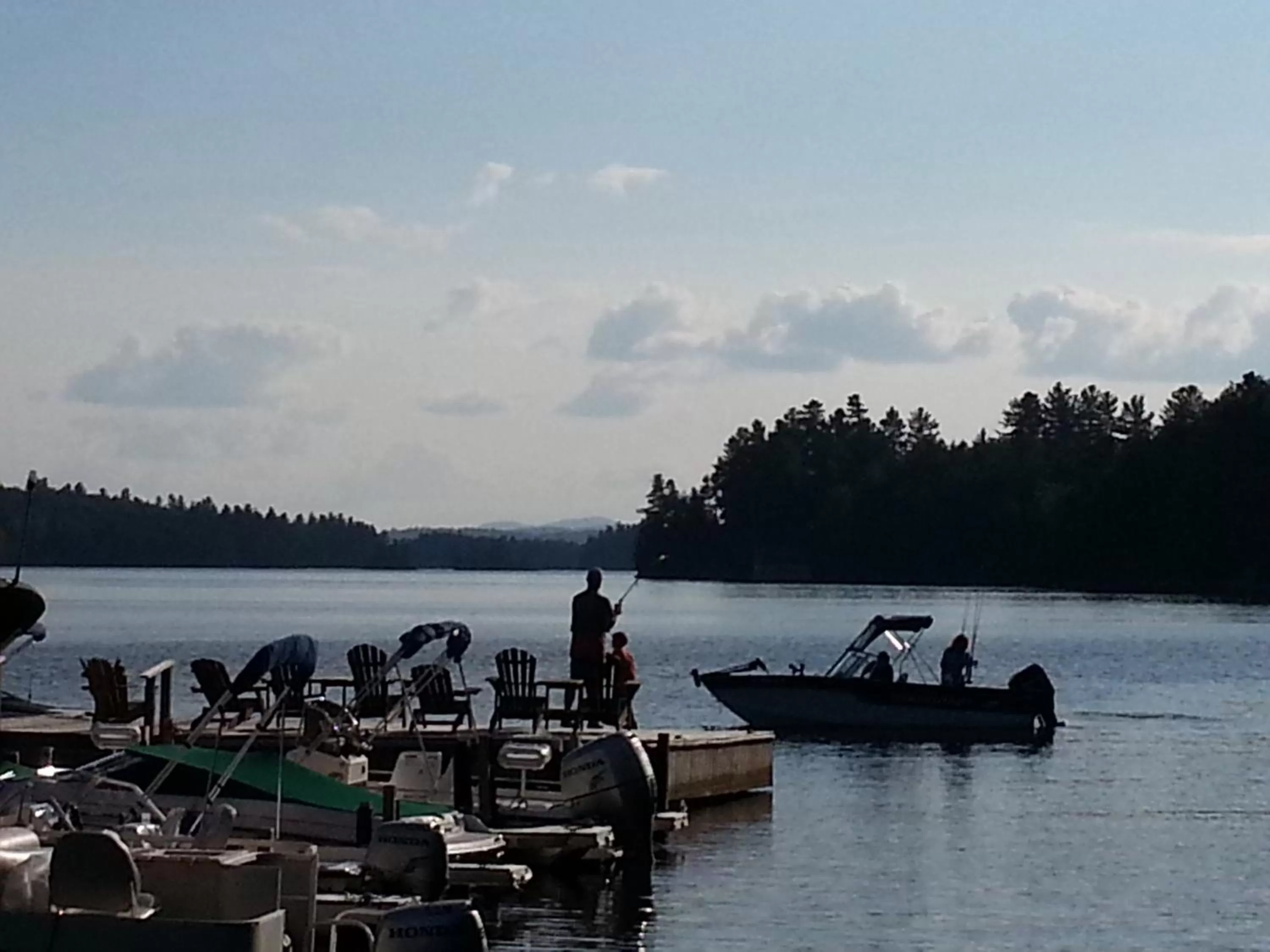 Natural landscape in Ampersand Bay Resort