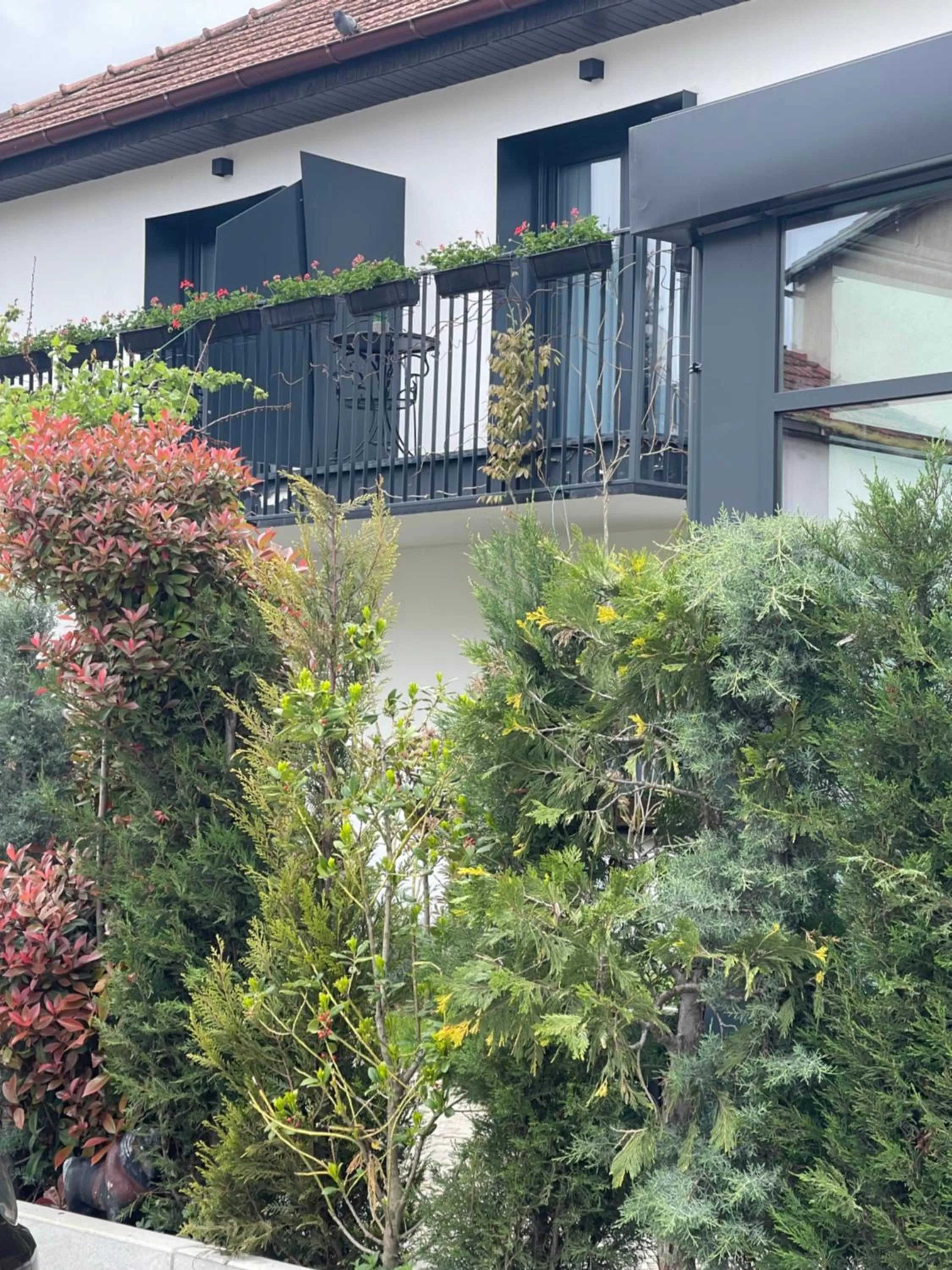 Property Building in Etnomania Boutique Hotel