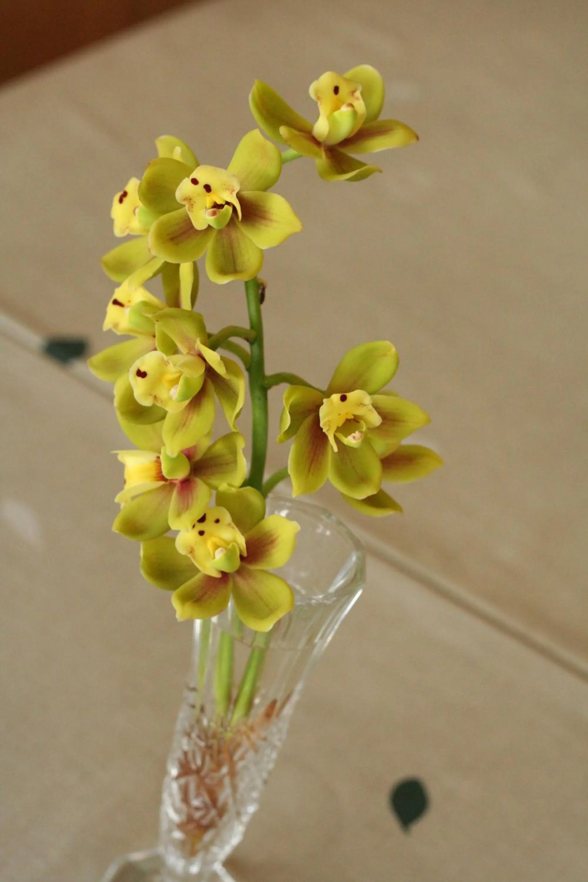 Other in Kawaguchiko Station Inn