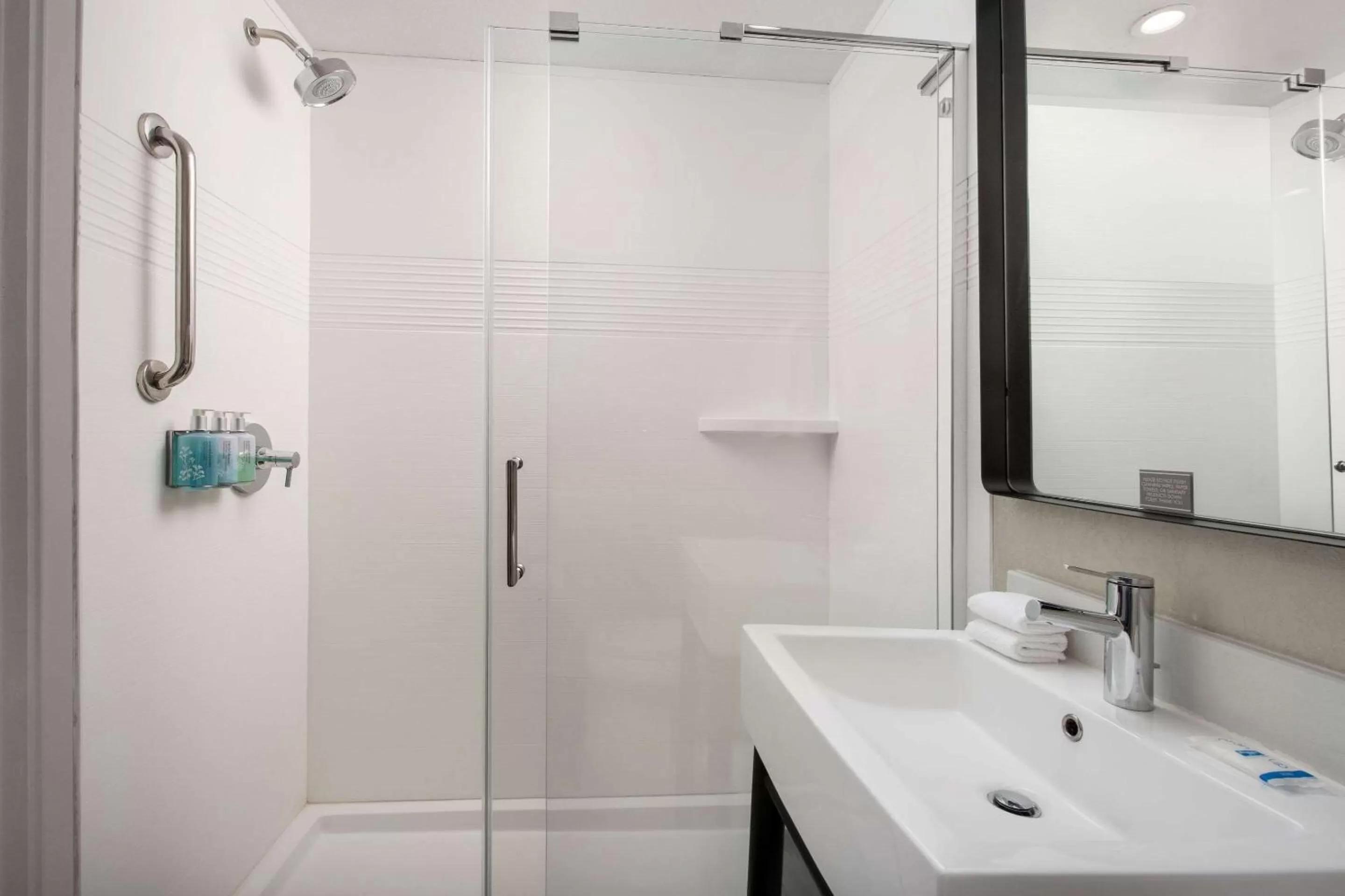 Bathroom in Rodeway Inn St Augustine Historic District