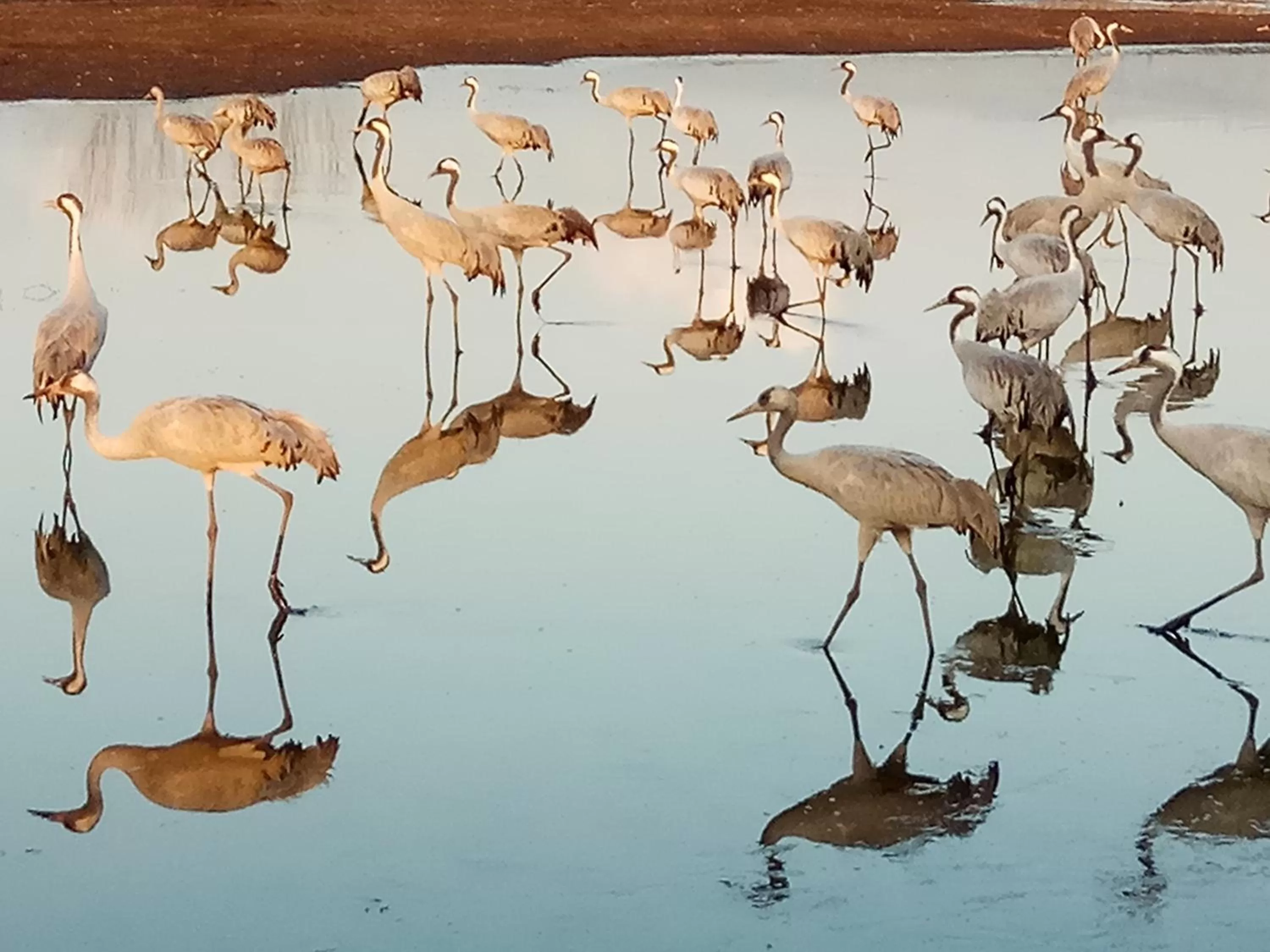 Nearby landmark, Other Animals in Beit Shalom Historical boutique Hotel