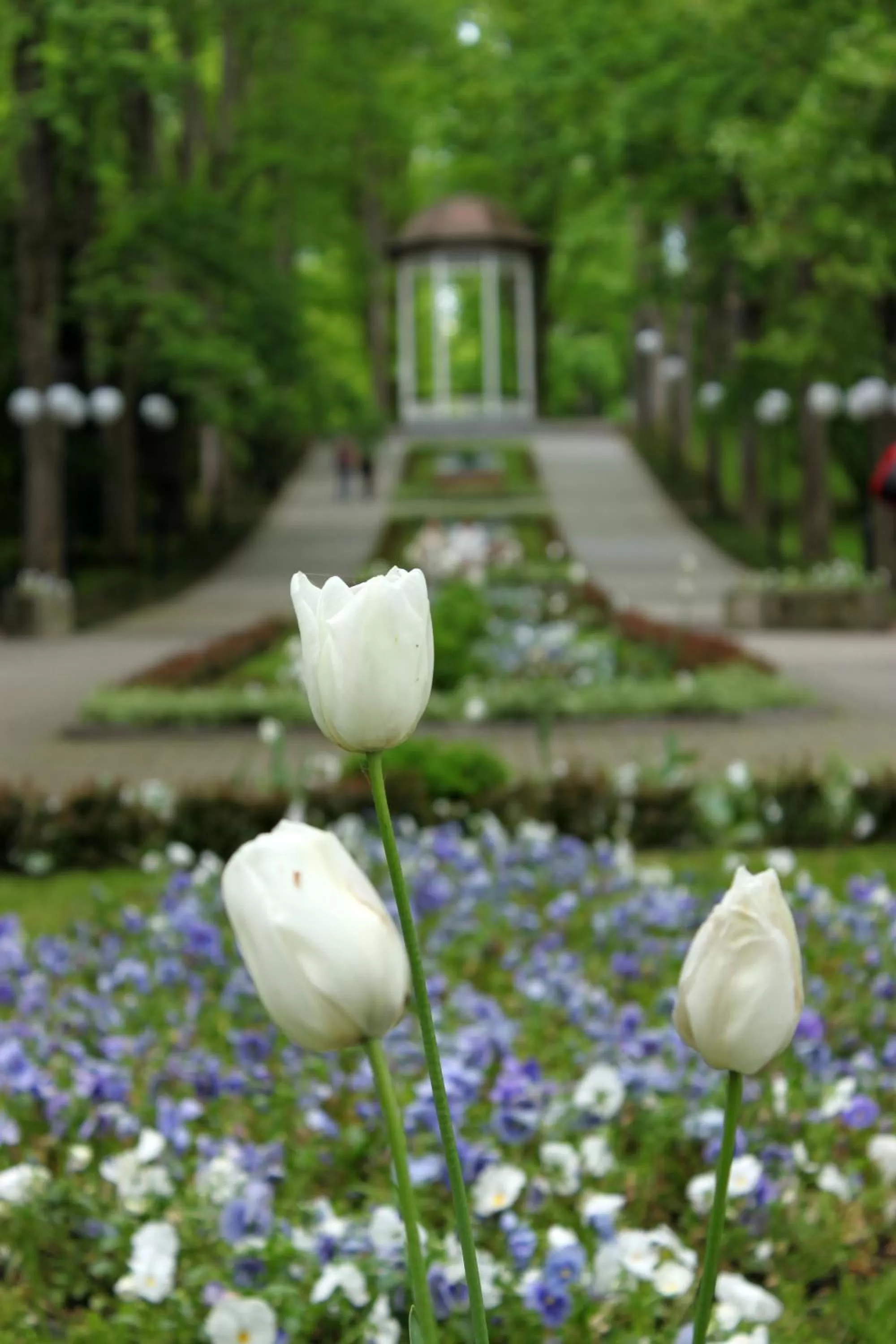 Area and facilities in Hotel Europa