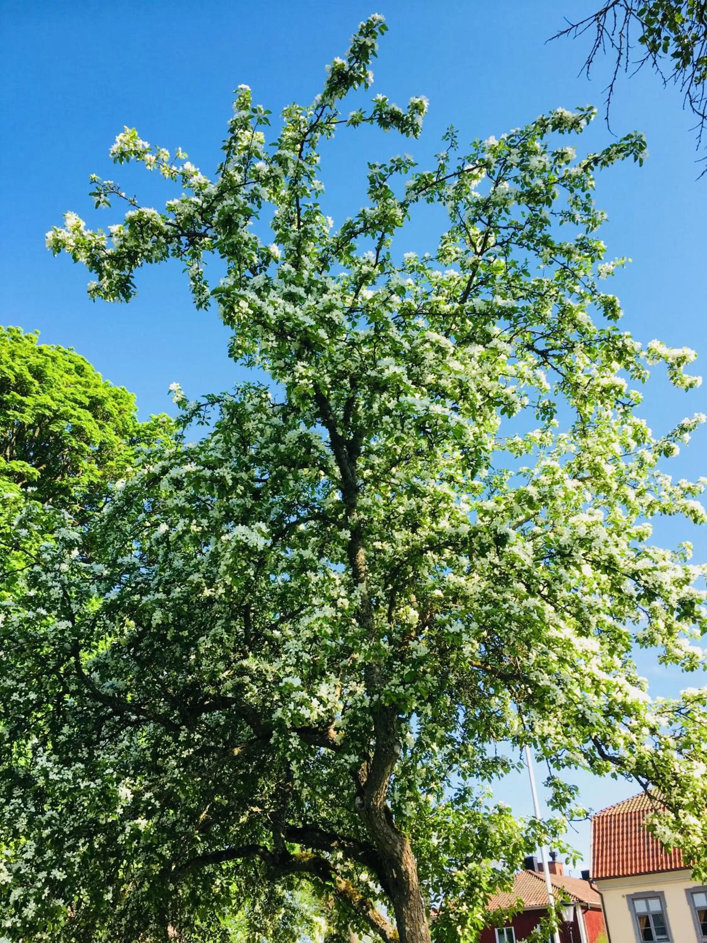 Brunsbo G:a Biskopsgård Hotell & Konferens