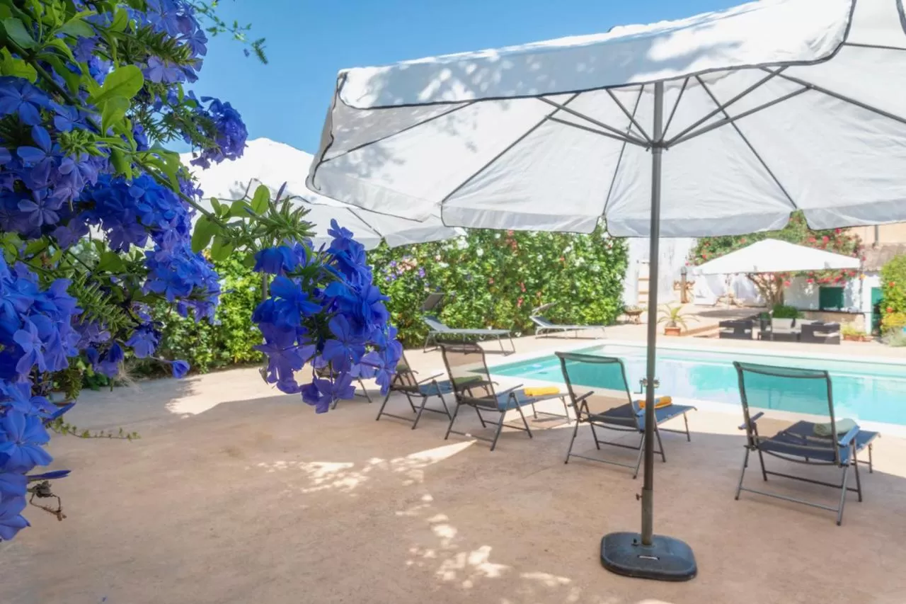 Swimming Pool in Sa Barcella