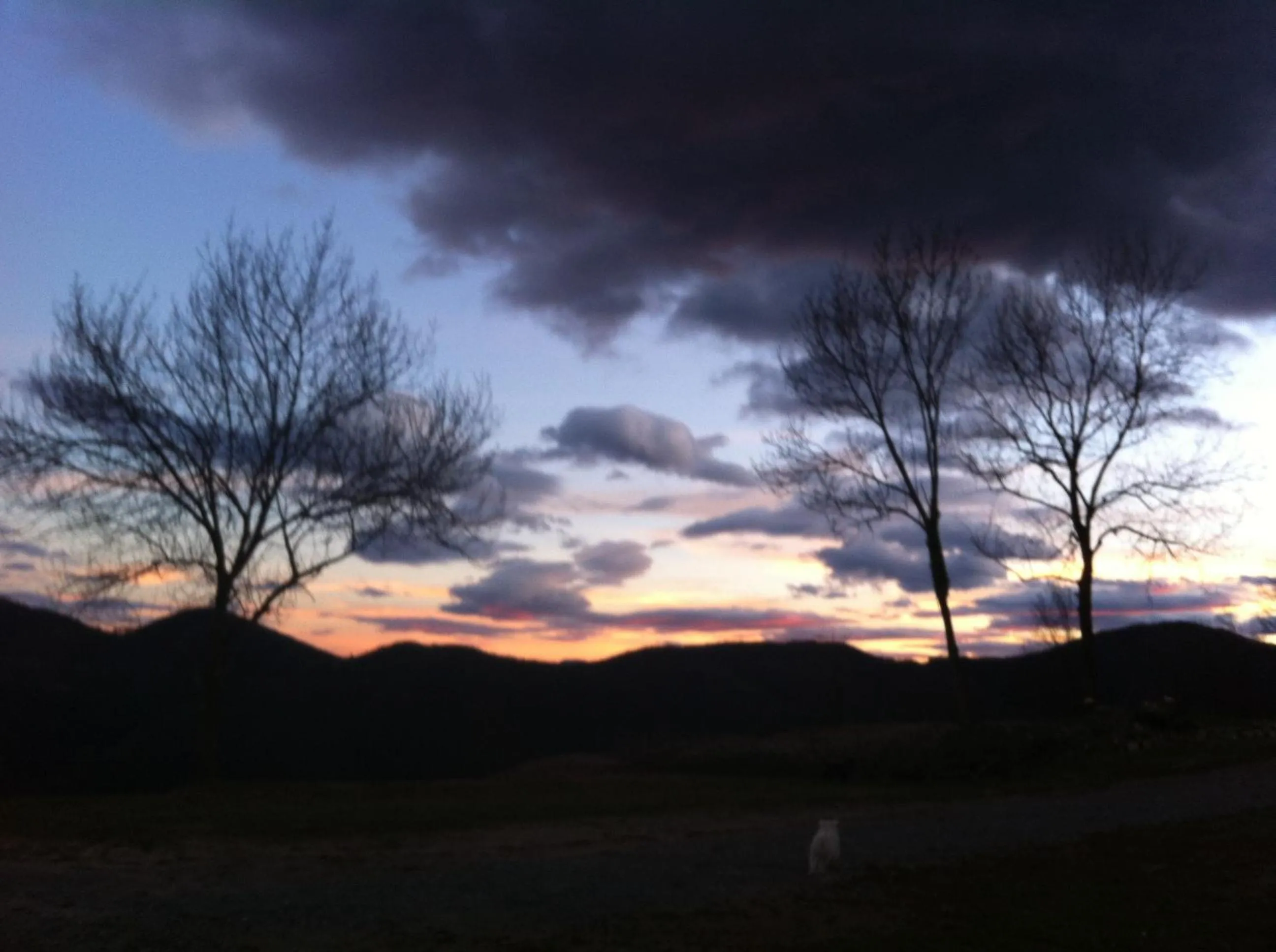 Garden view in Hotel Boutique Puig Francó