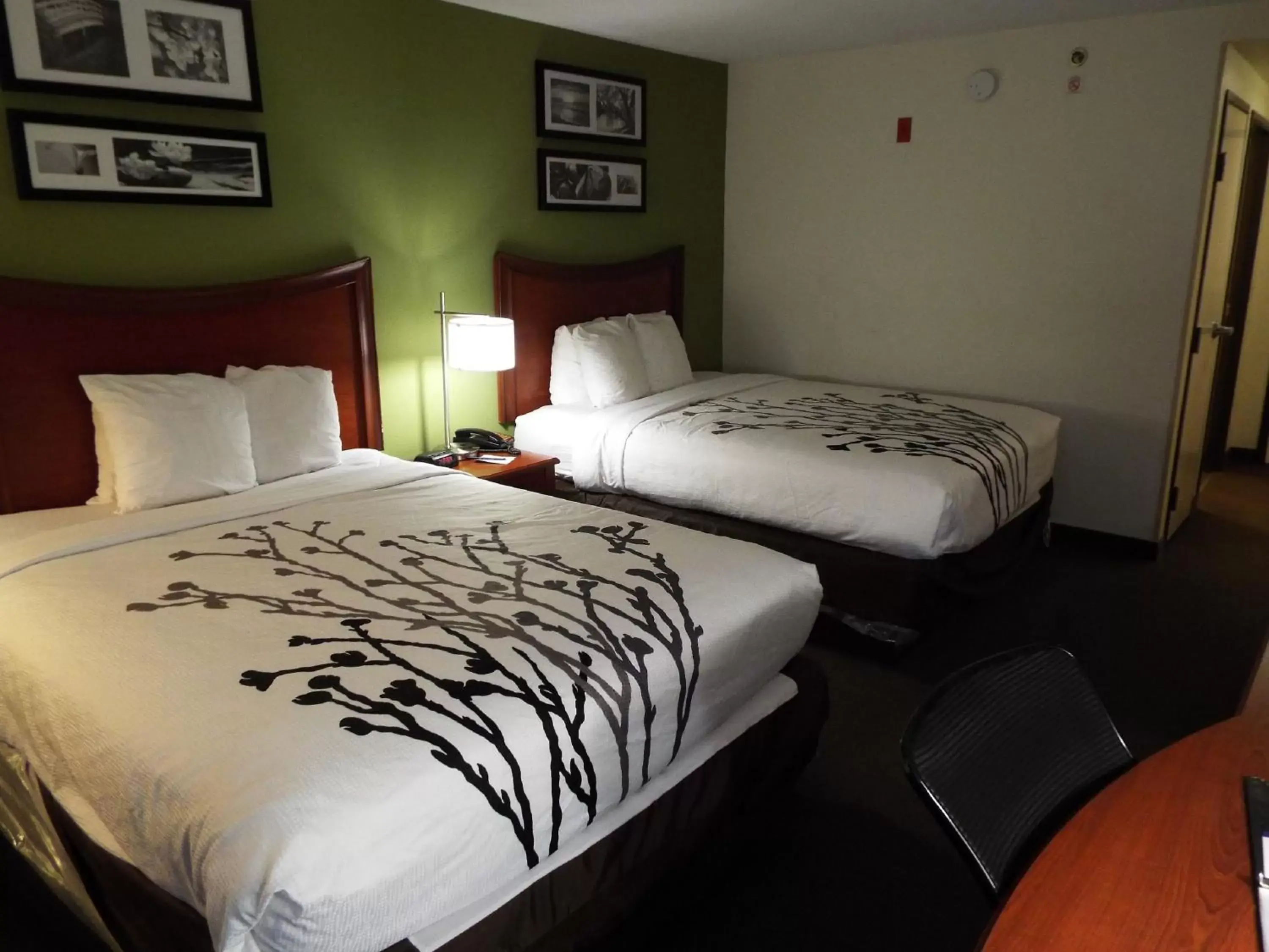 Double Room with Two Double Beds - Accessible/Non-Smoking in Sleep Inn & Suites Laurel near Fort Meade Double Room with Two Double Beds - Accessible/Non-Smoking in Sleep Inn & Suites Laurel near Fort Meade