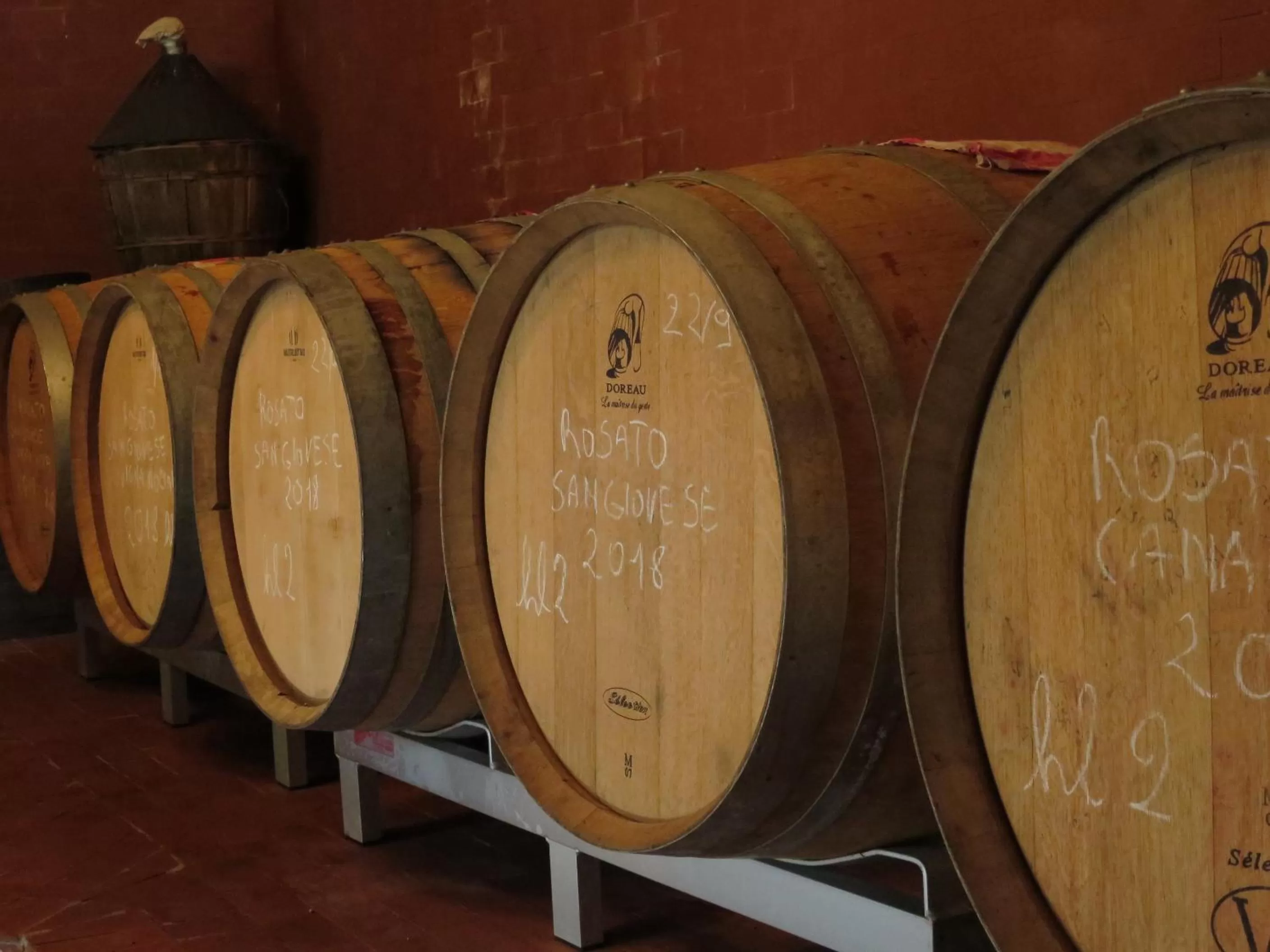 Activities in Borgo La Torre alle Tolfe