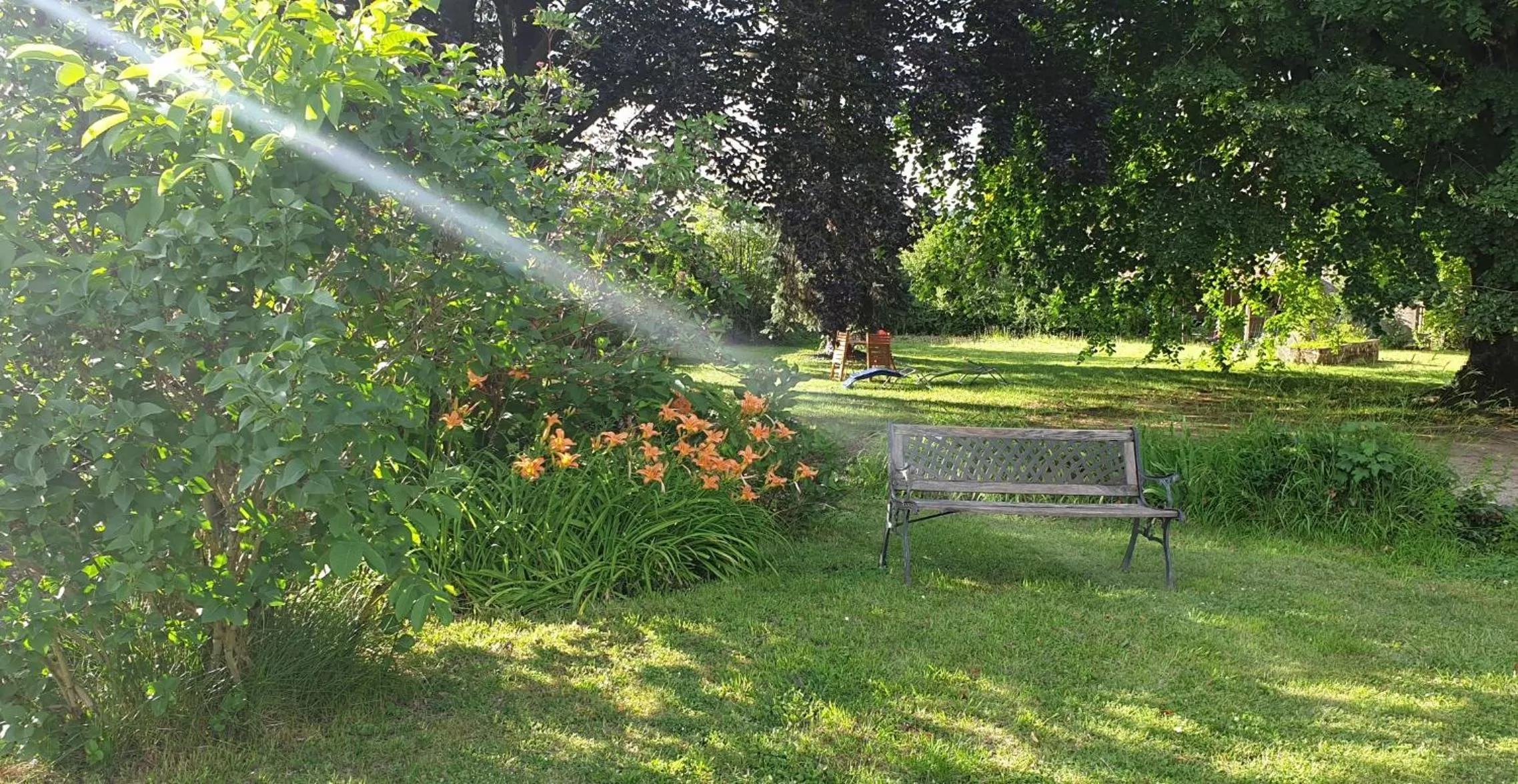 De passage chez Lili