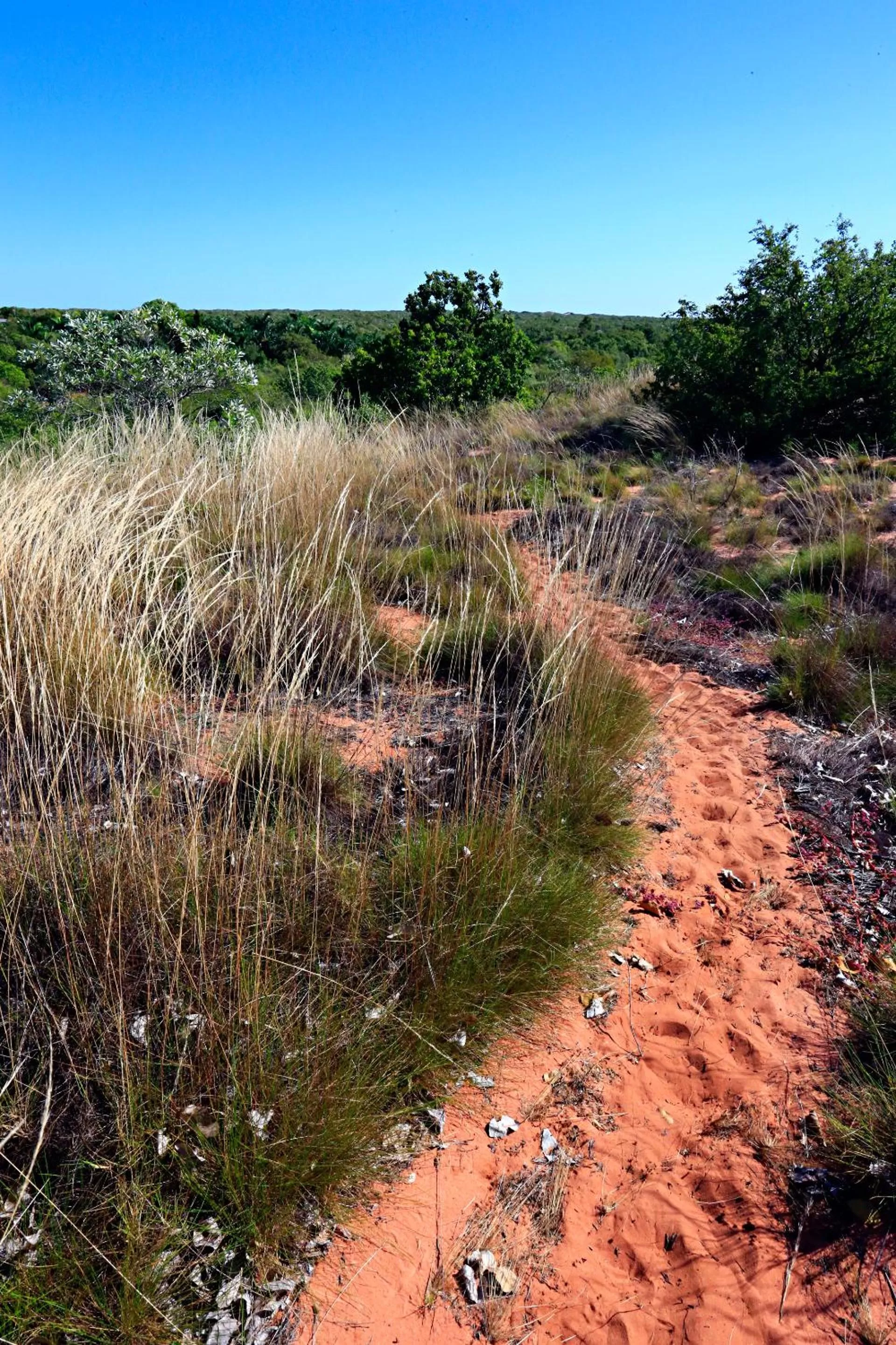 Nearby landmark in Habitat Resort