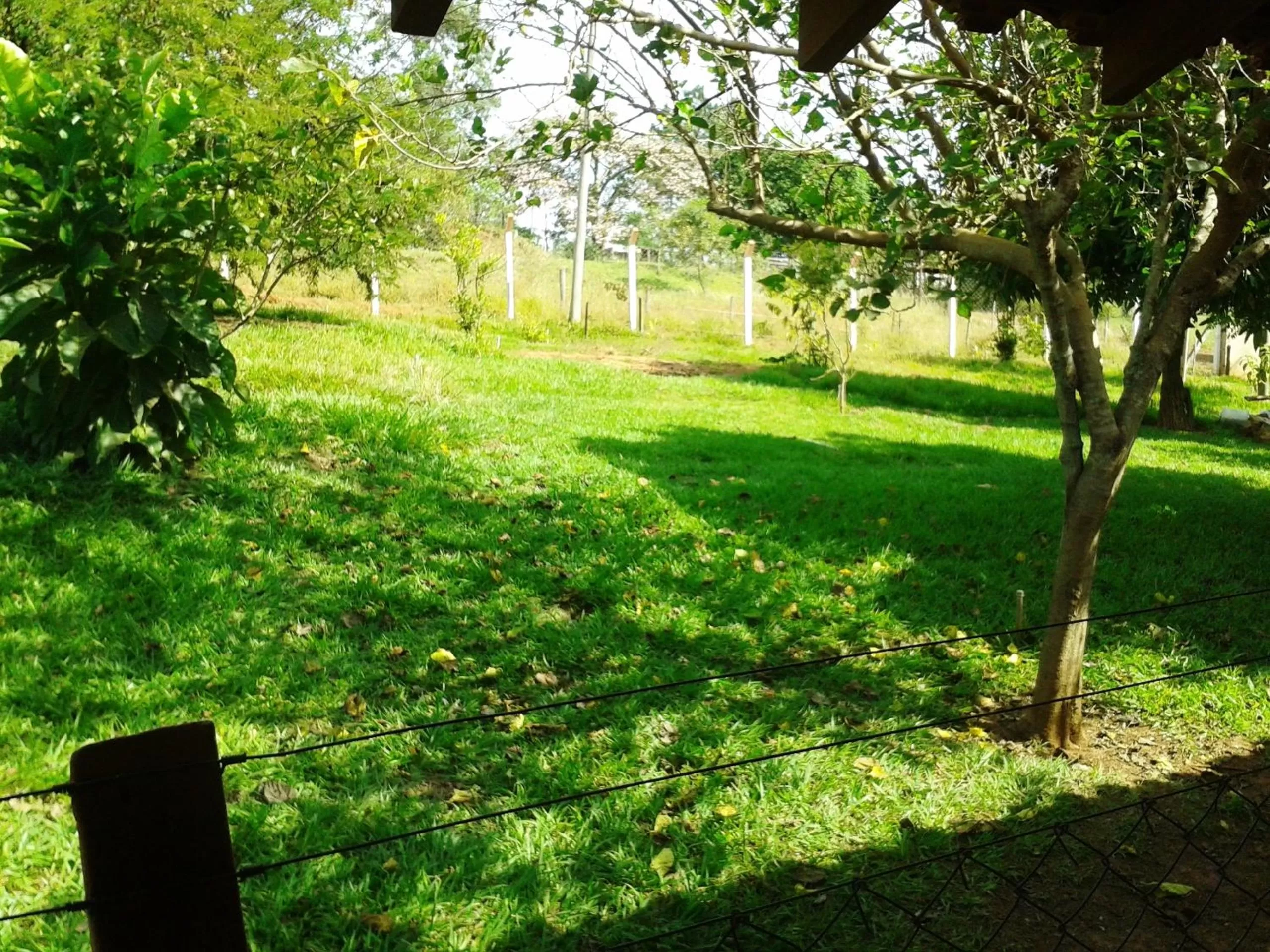 Garden view, Garden in Pousada Sorocabana