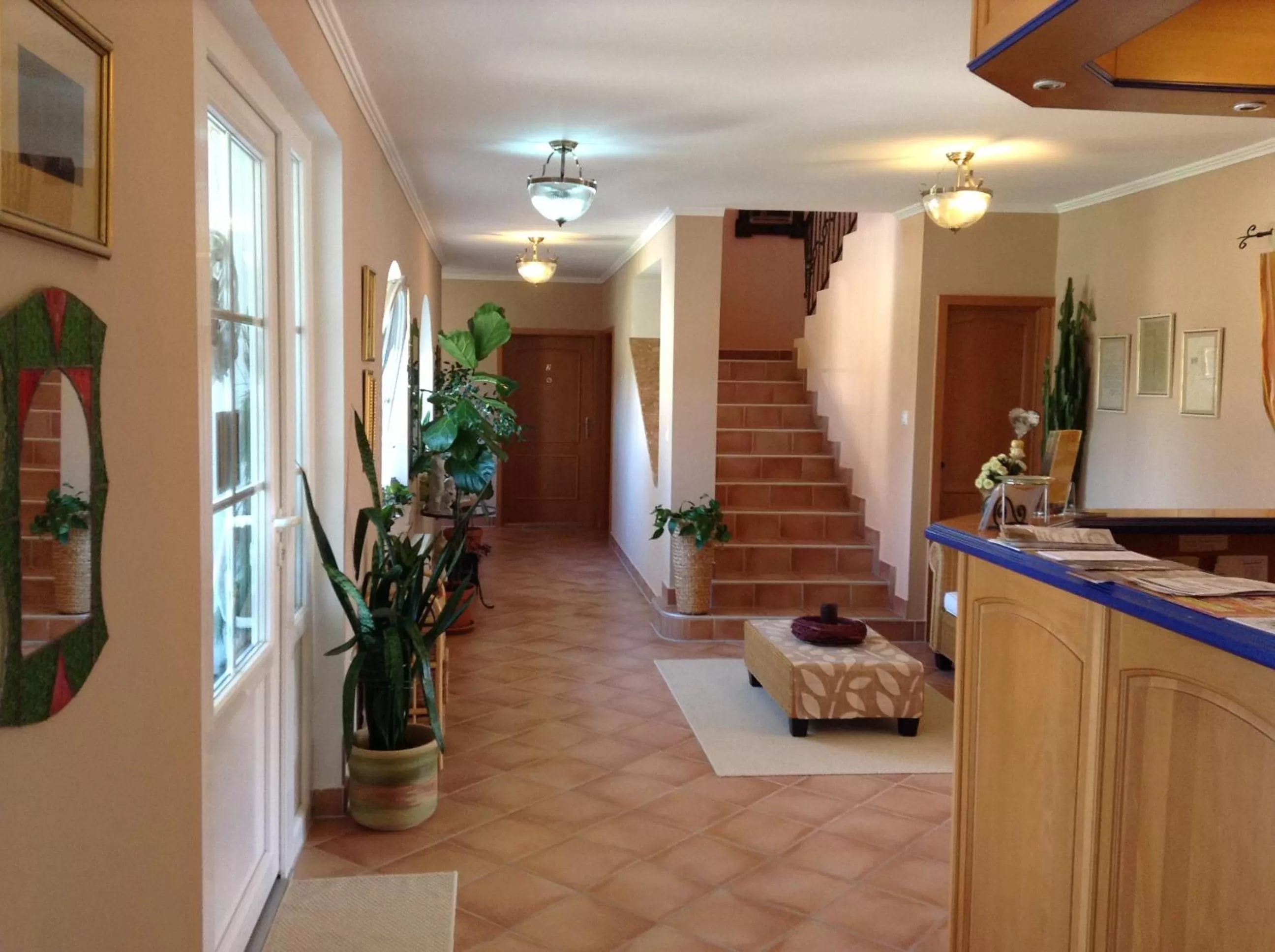 Lobby or reception, Kitchen/Kitchenette in Hotel Zsida