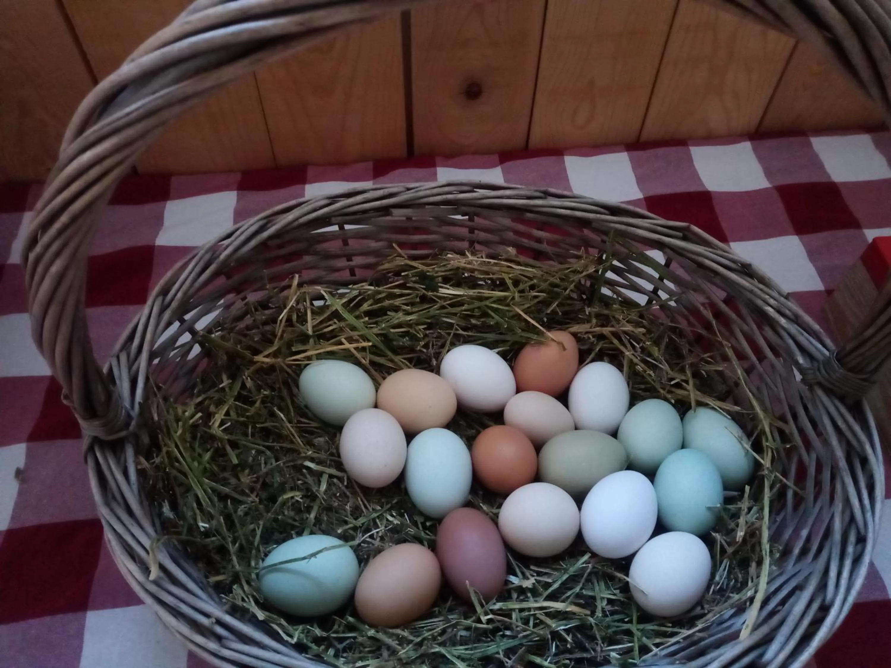 Food close-up in Agritur Airone Bed & Camping