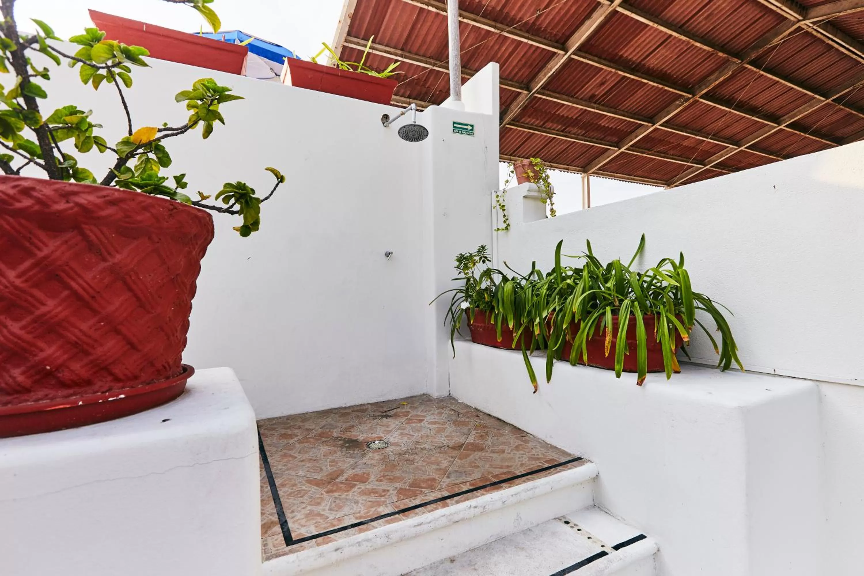 Area and facilities in Hotel Suites Ixtapa Plaza