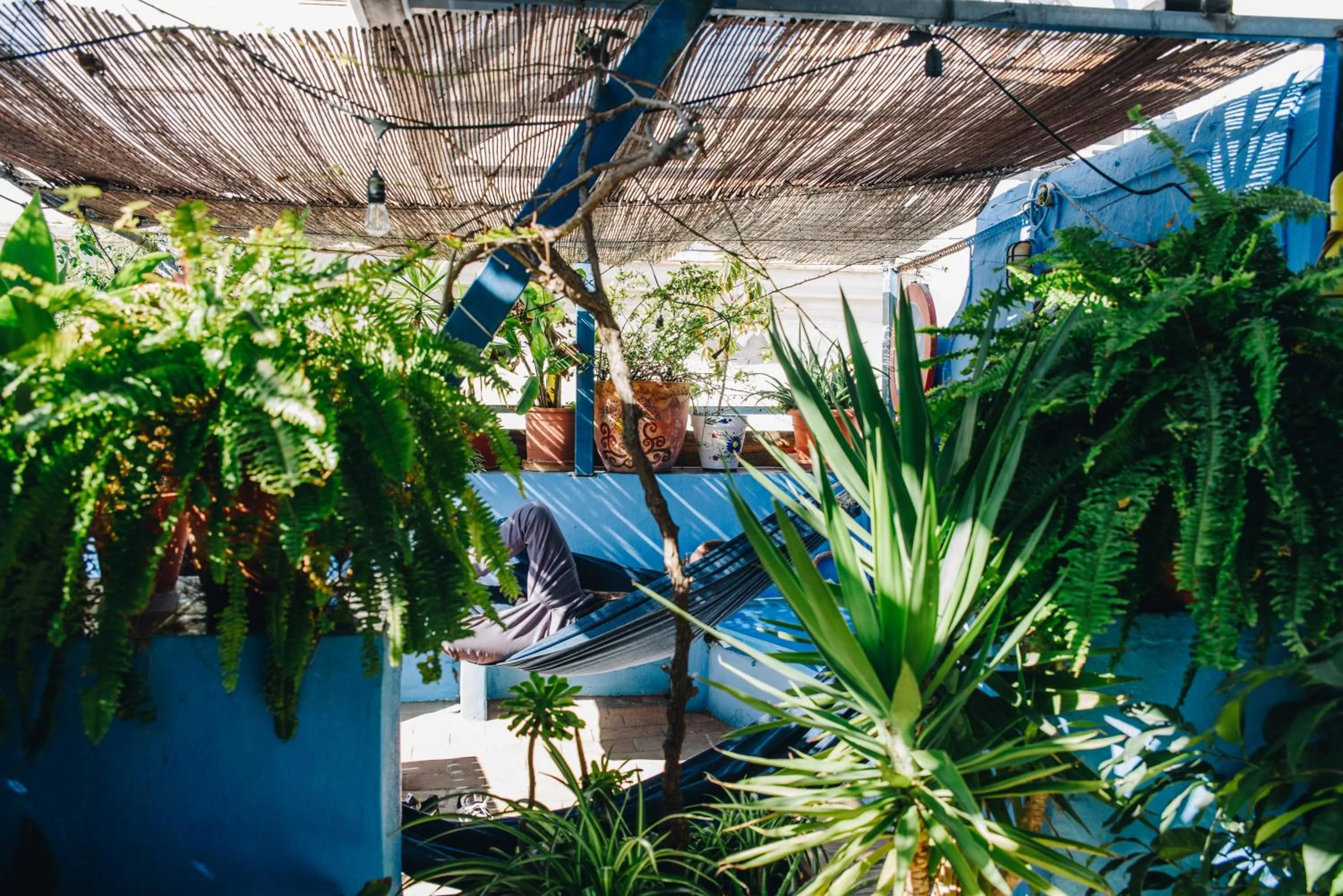 Balcony/Terrace in Casa Caracol