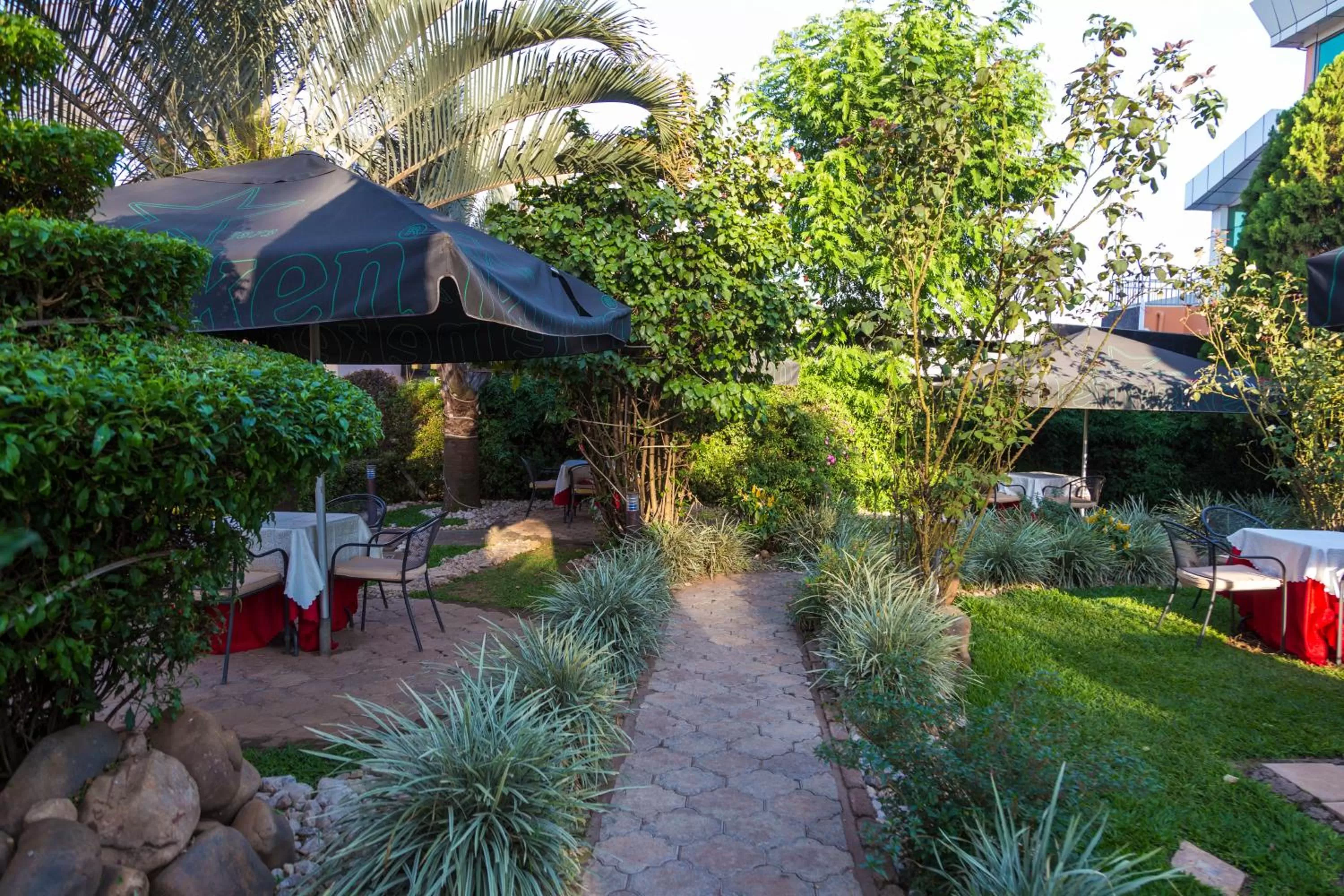 Garden in Olympic Hotel