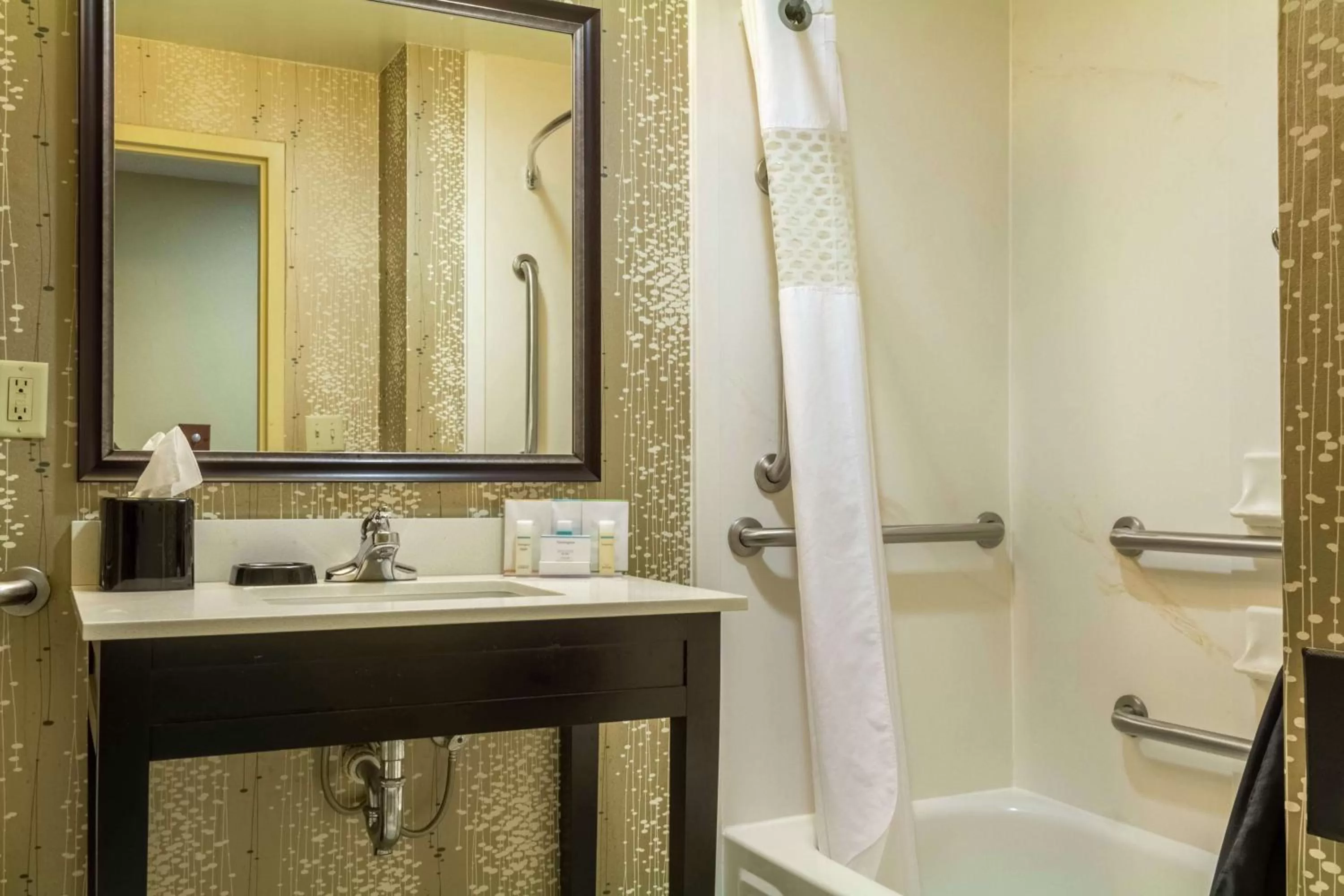 Bathroom in Hampton Inn Clinton