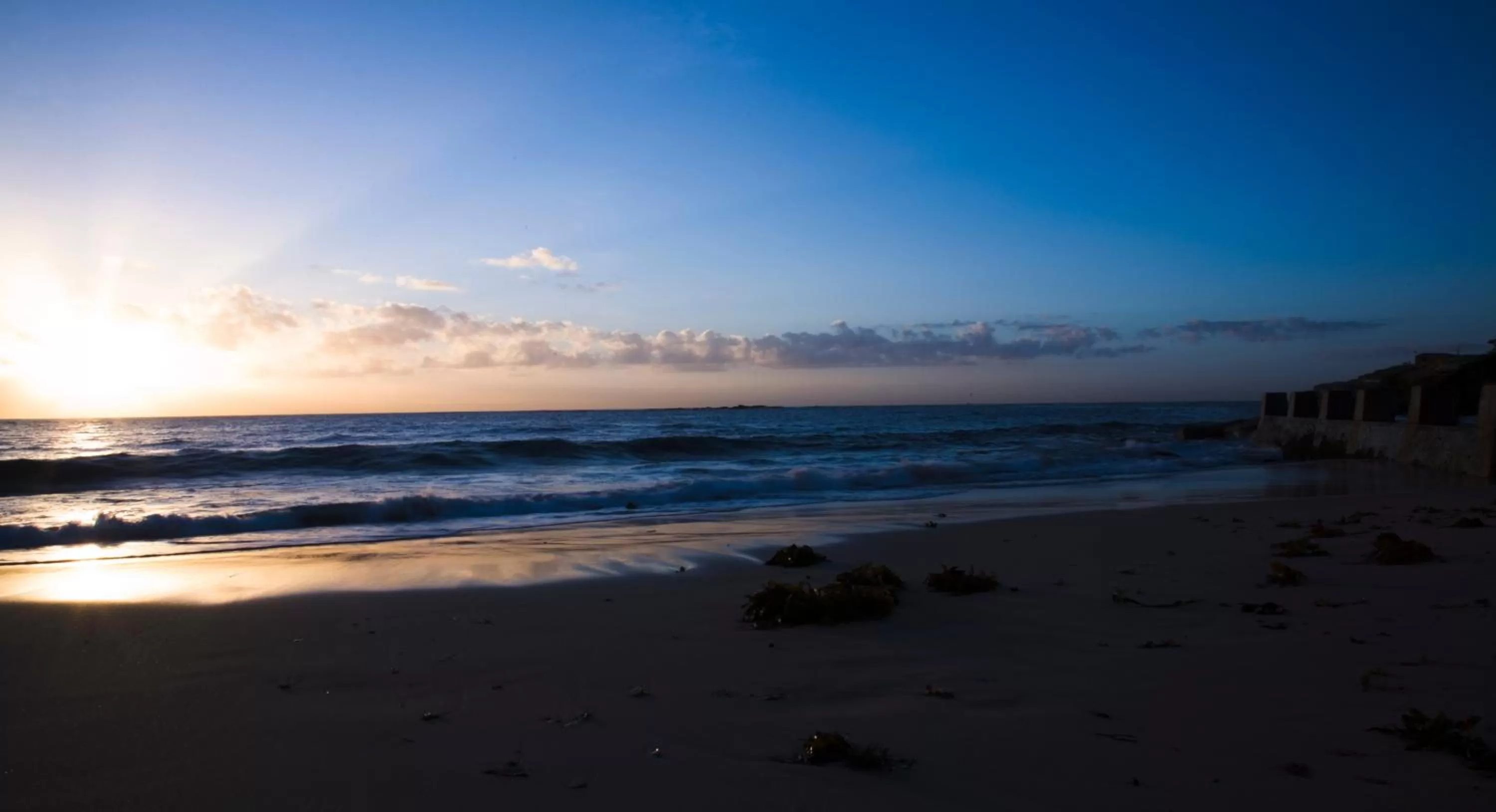 Area and facilities in Avoca Randwick by Sydney Lodges