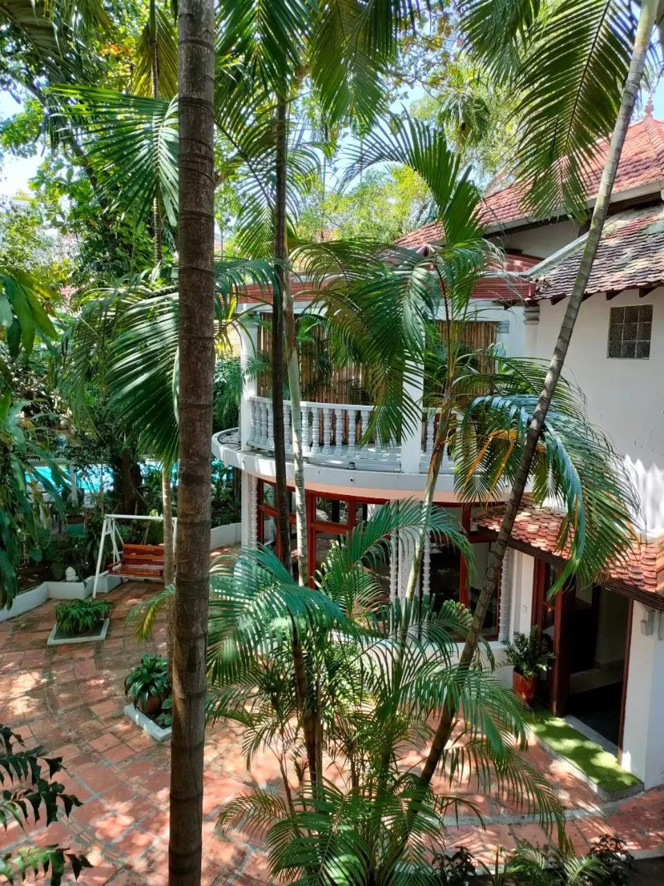 Property building in Jungle Addition