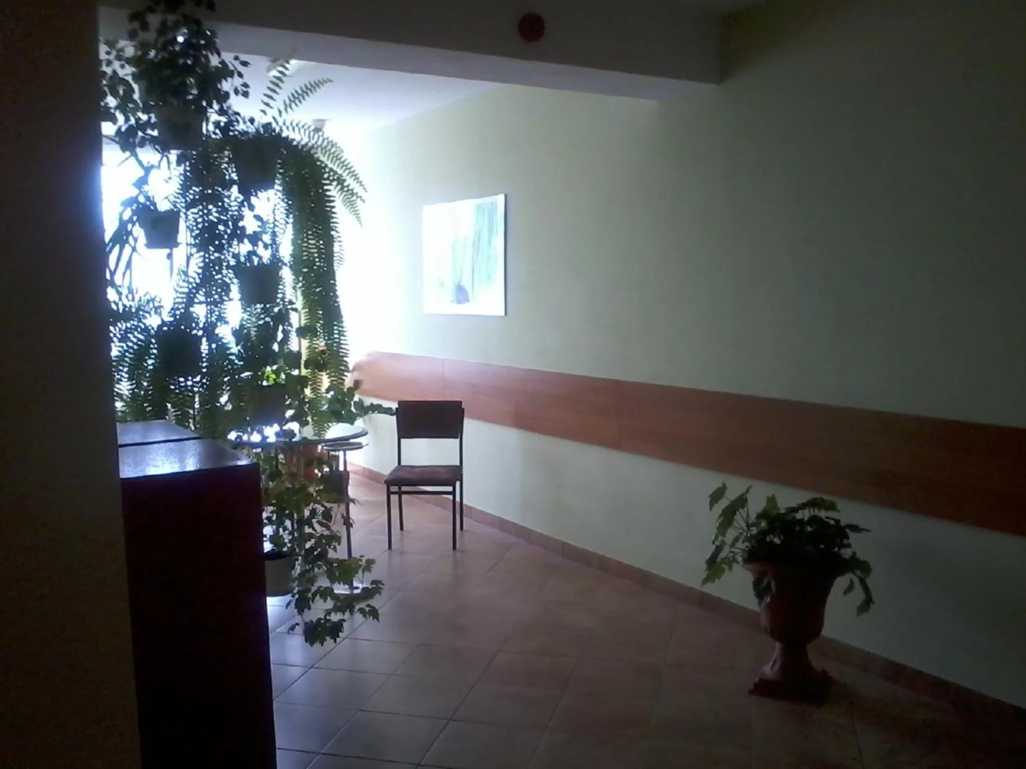 Lobby or reception in HOTEL ODR