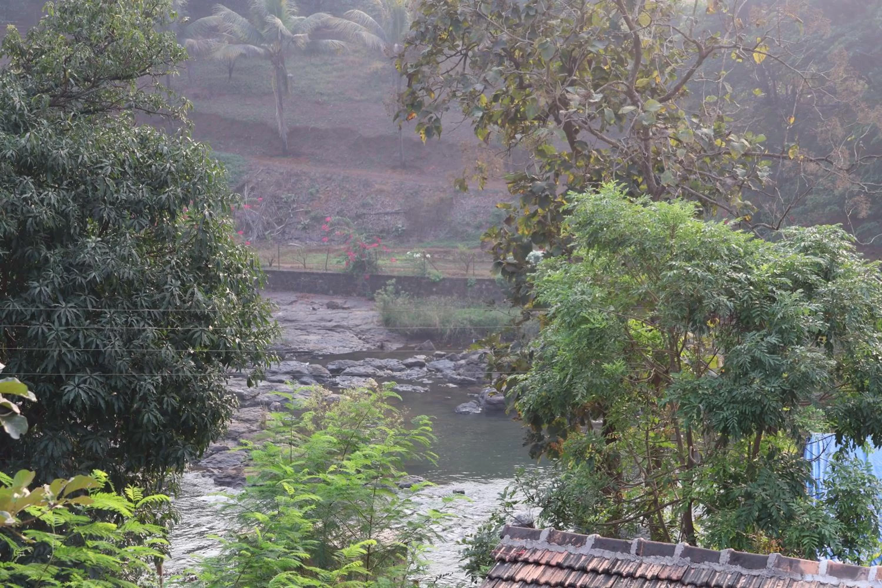 Natural landscape in Saveda Farm & Cottages