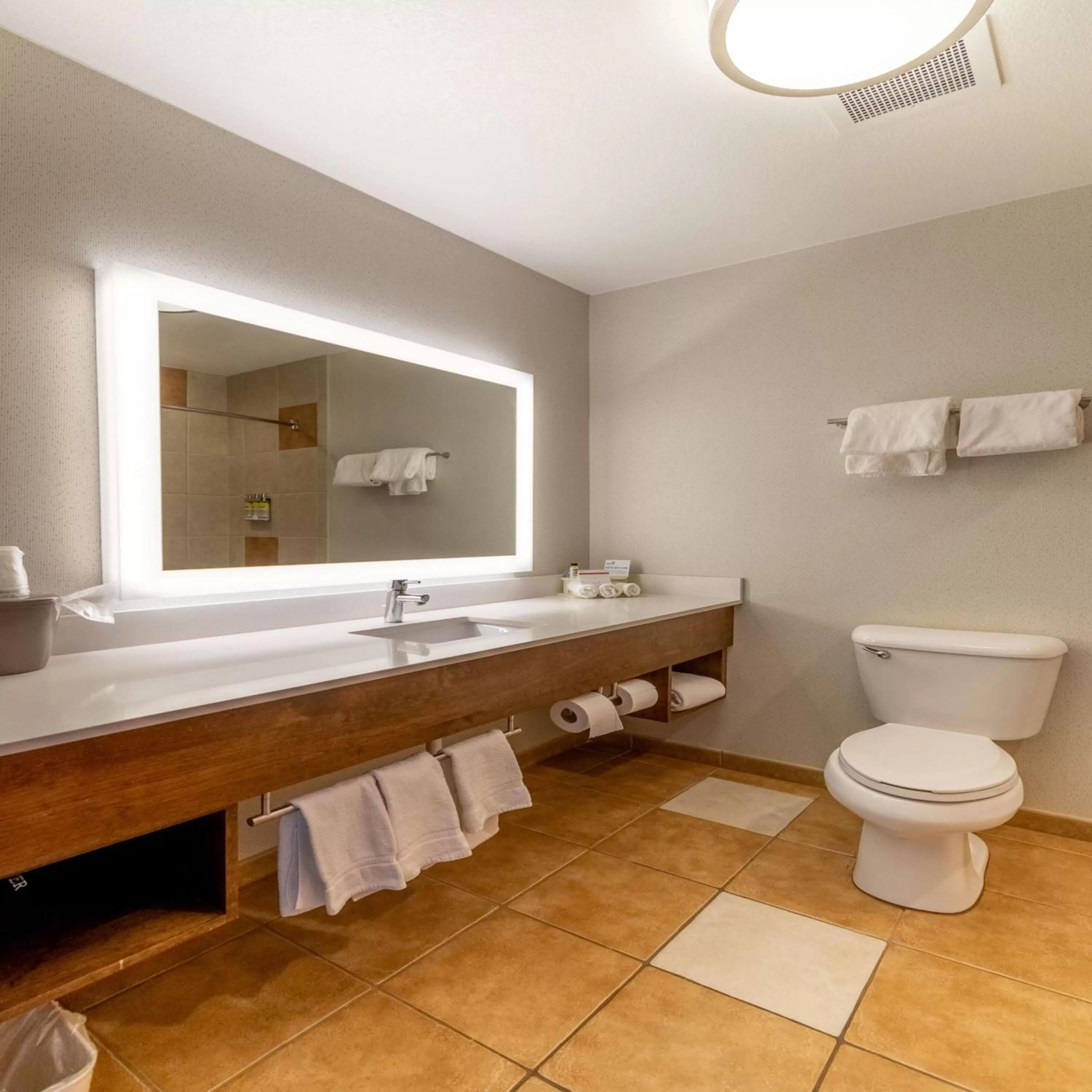 Bathroom in Holiday Inn Express Hotel & Suites Limon I-70/Exit 359 by IHG