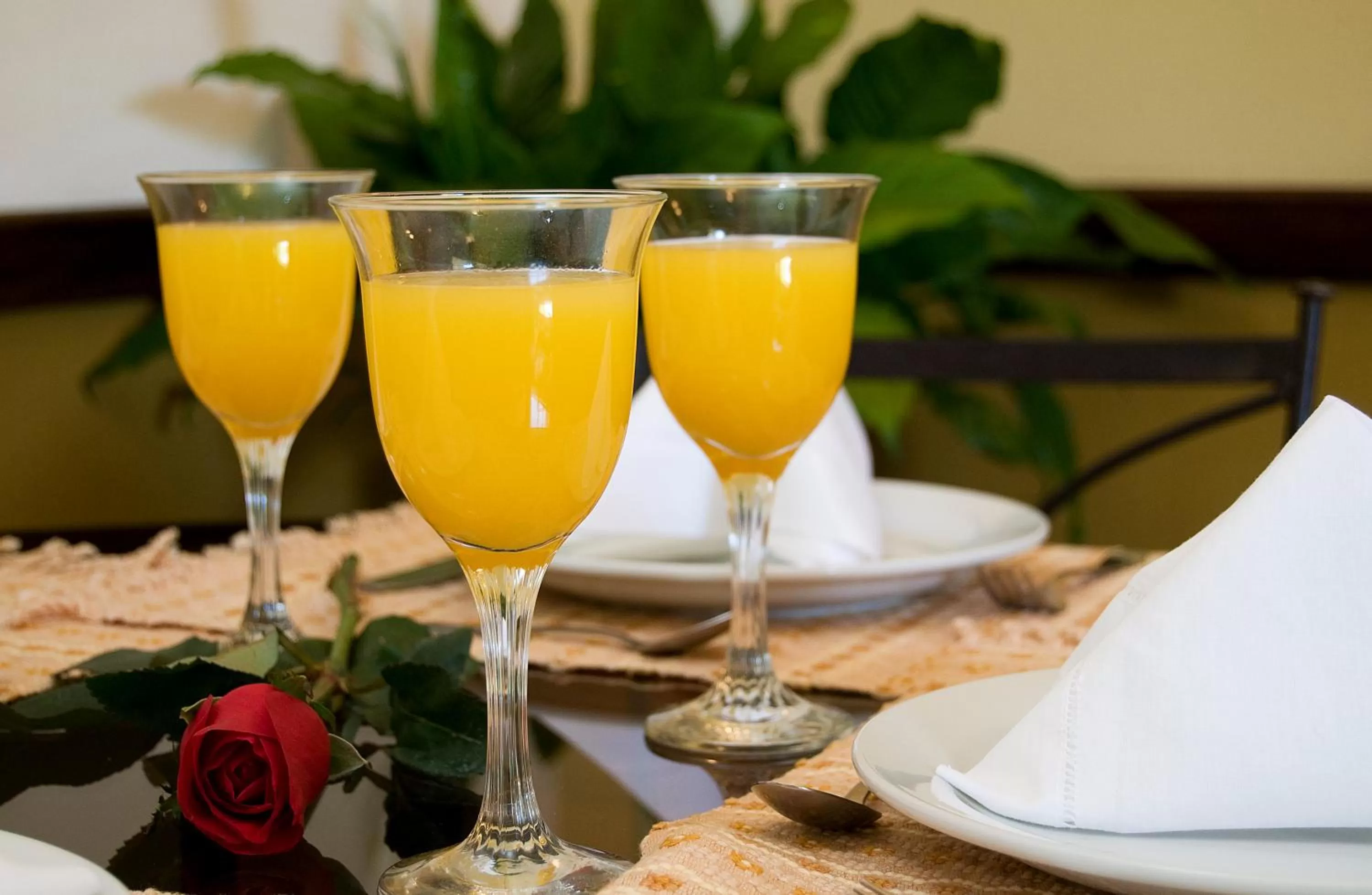 Non alcoholic drinks in Hostal Villa Toscana