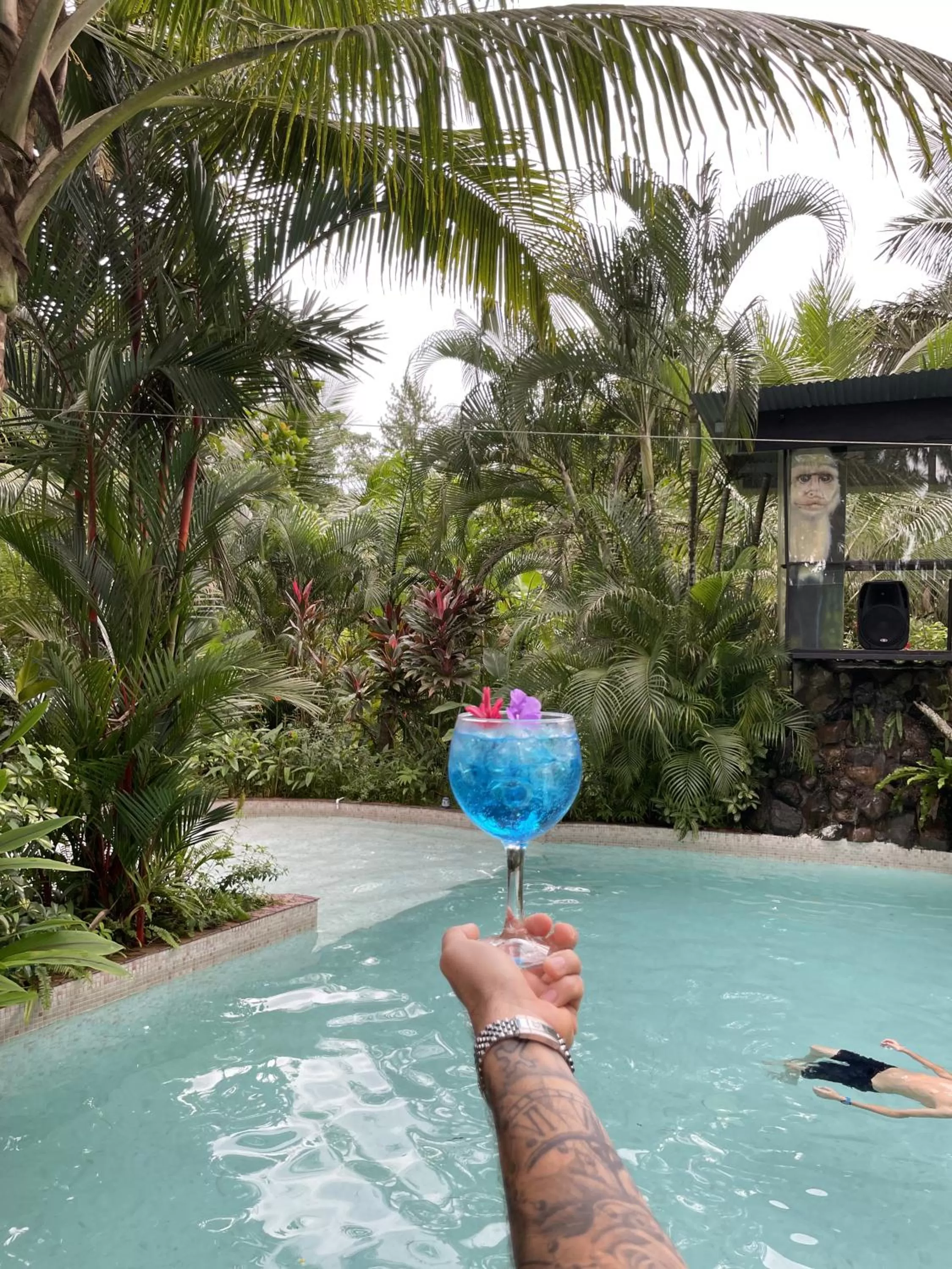 Day in Monkey Lodge Panama