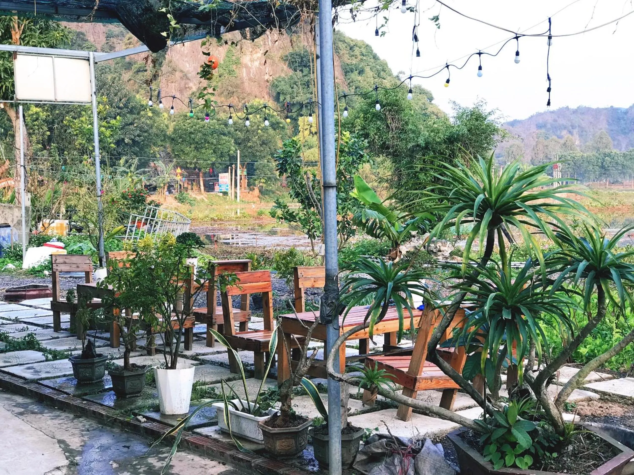Tam Coc Mountain View Homestay