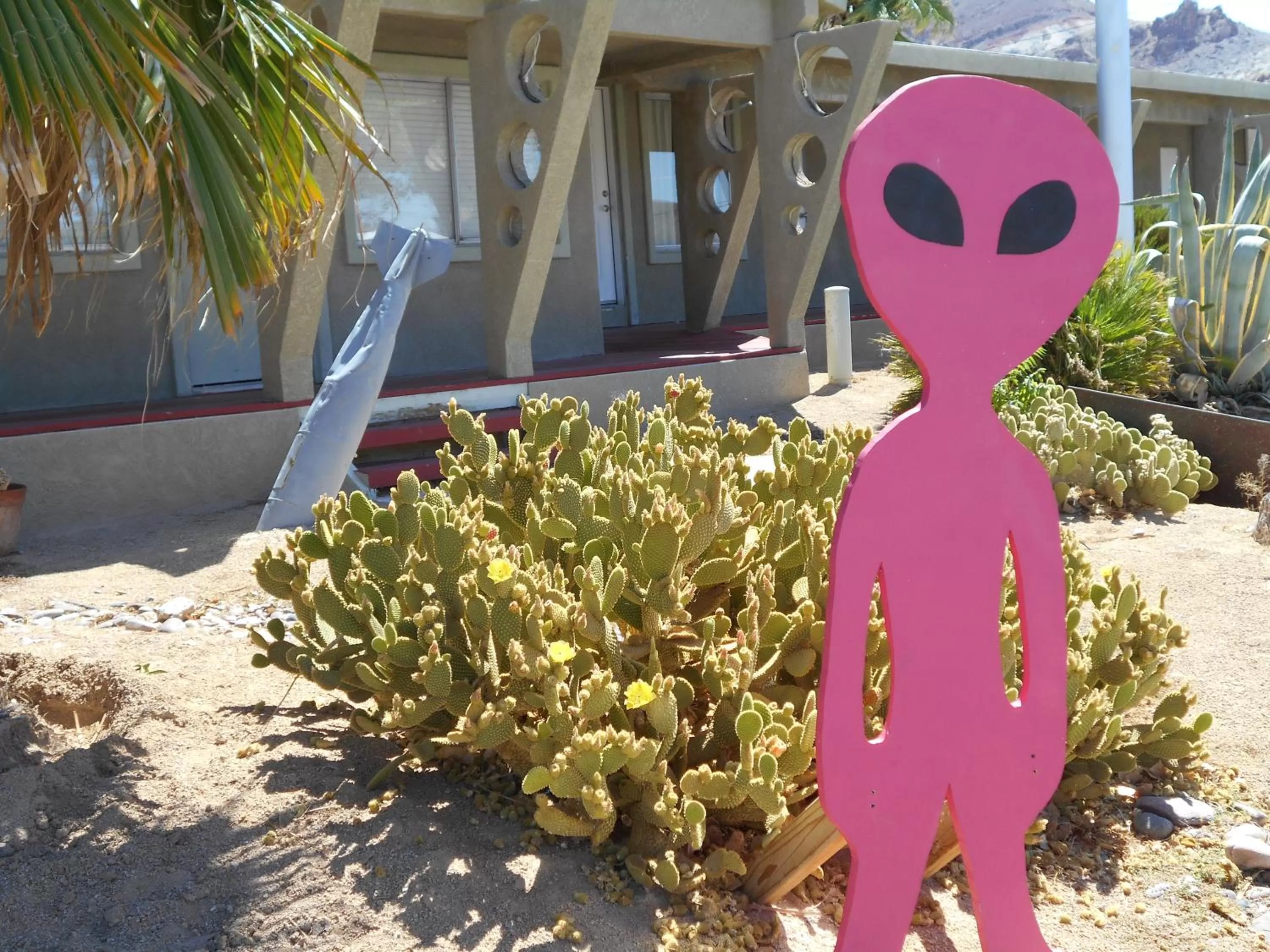 Other in Atomic Inn Beatty Near Death Valley