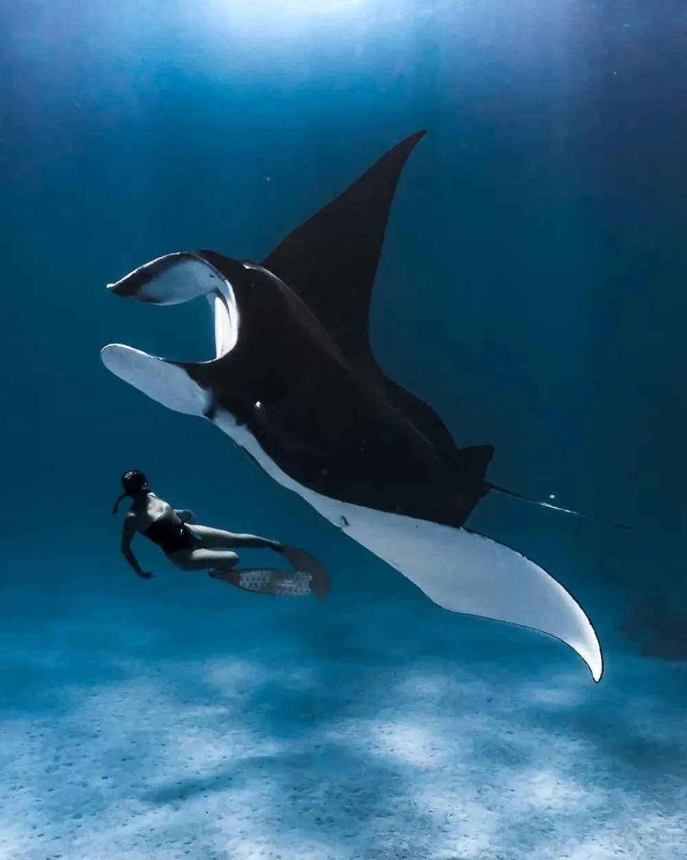 Ningaloo Lodge Exmouth