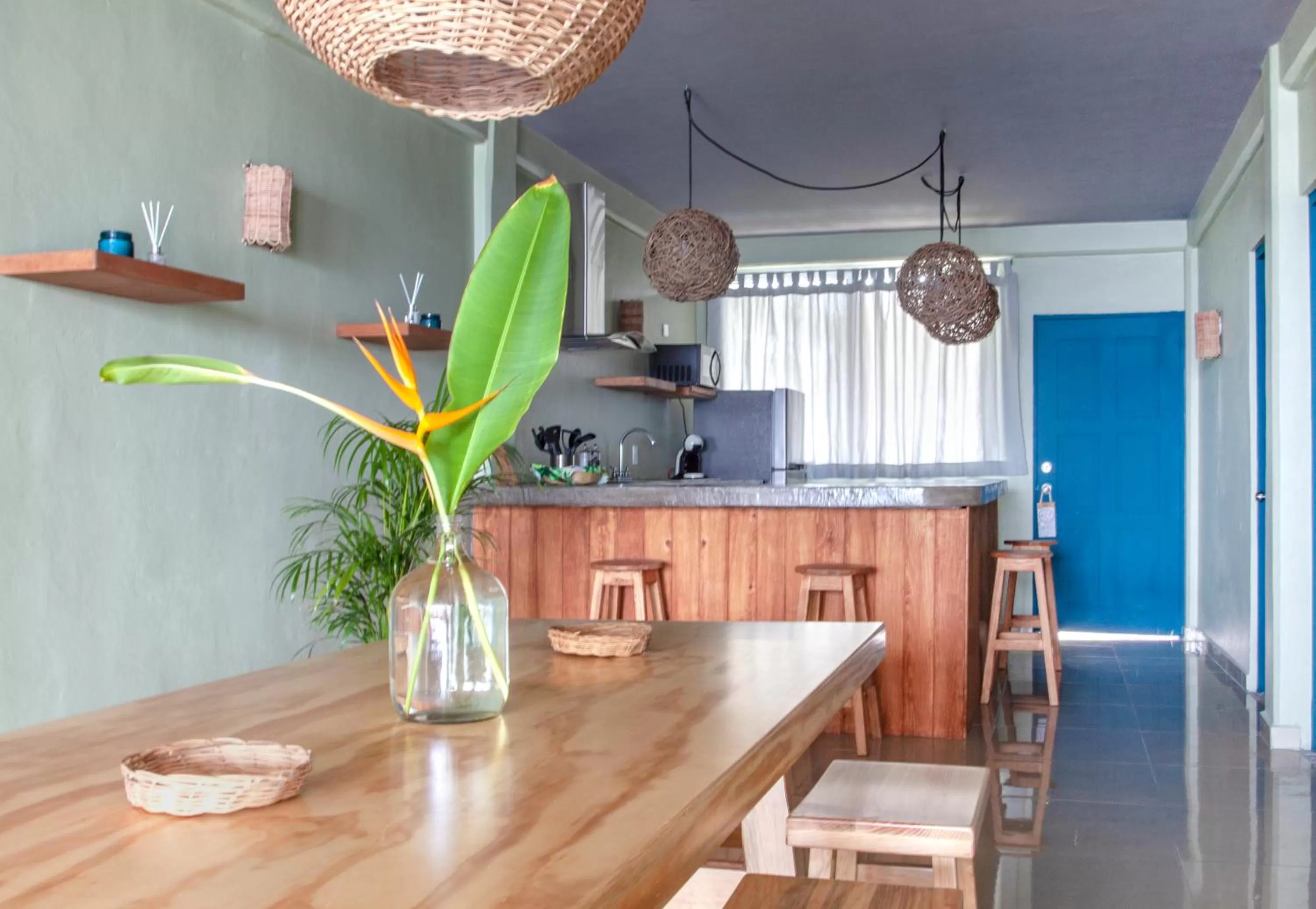 Kitchen or kitchenette in Albatros by Bedsfriends