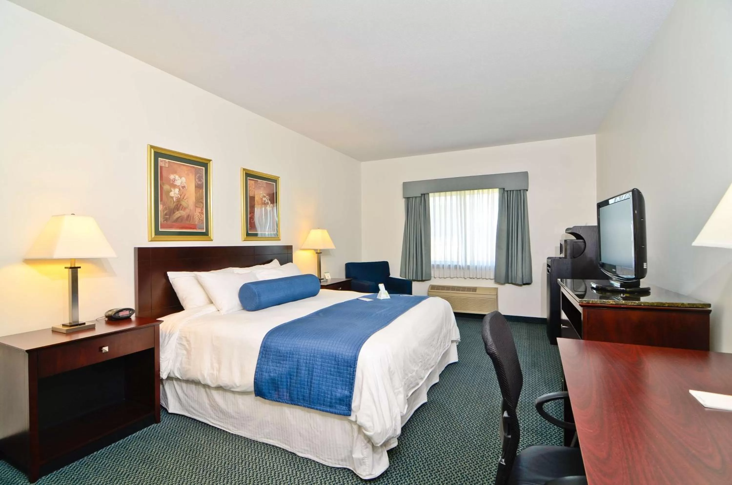 Photo of the whole room, Bed in Best Western Gas City