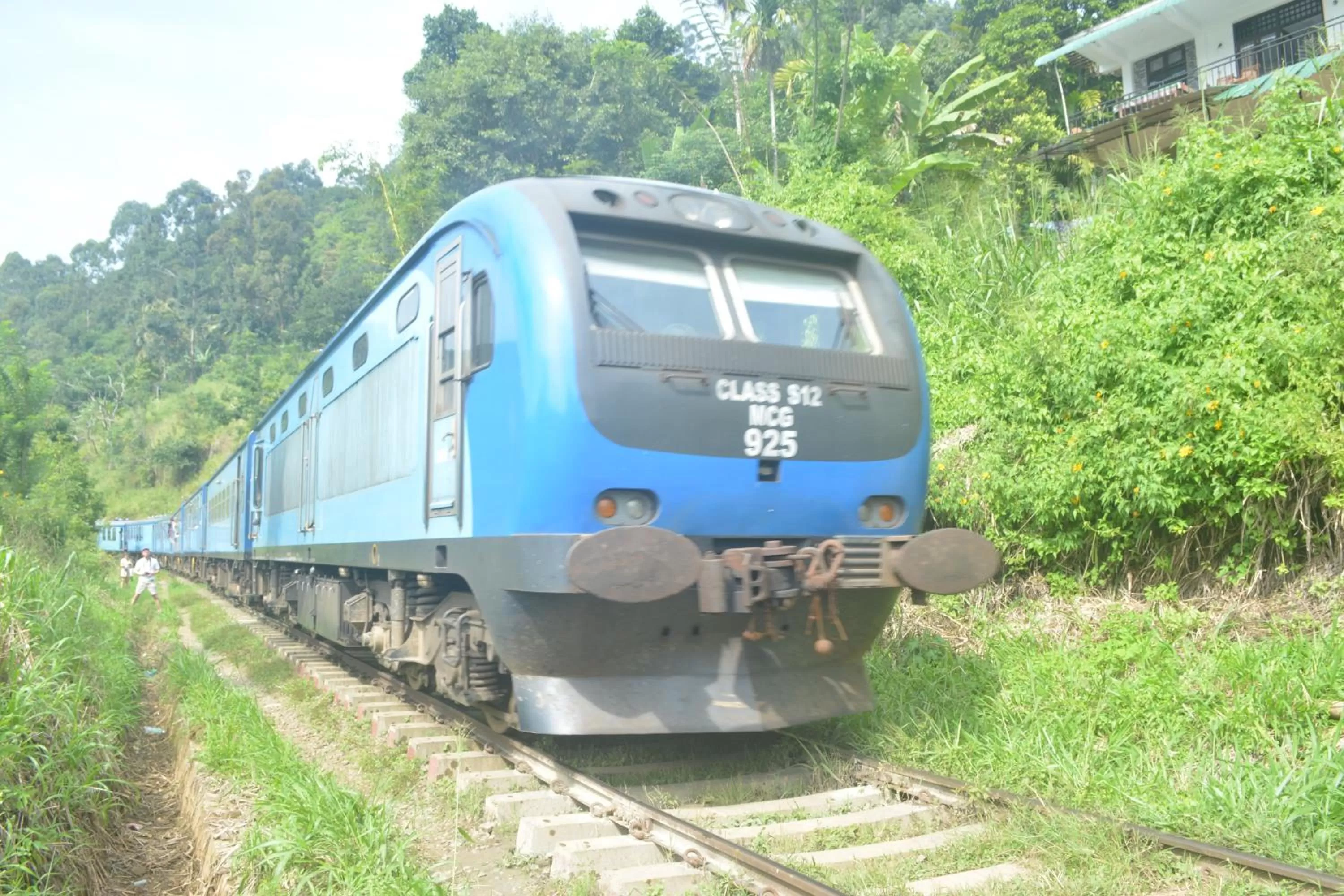 Property building in Saddle Cottage