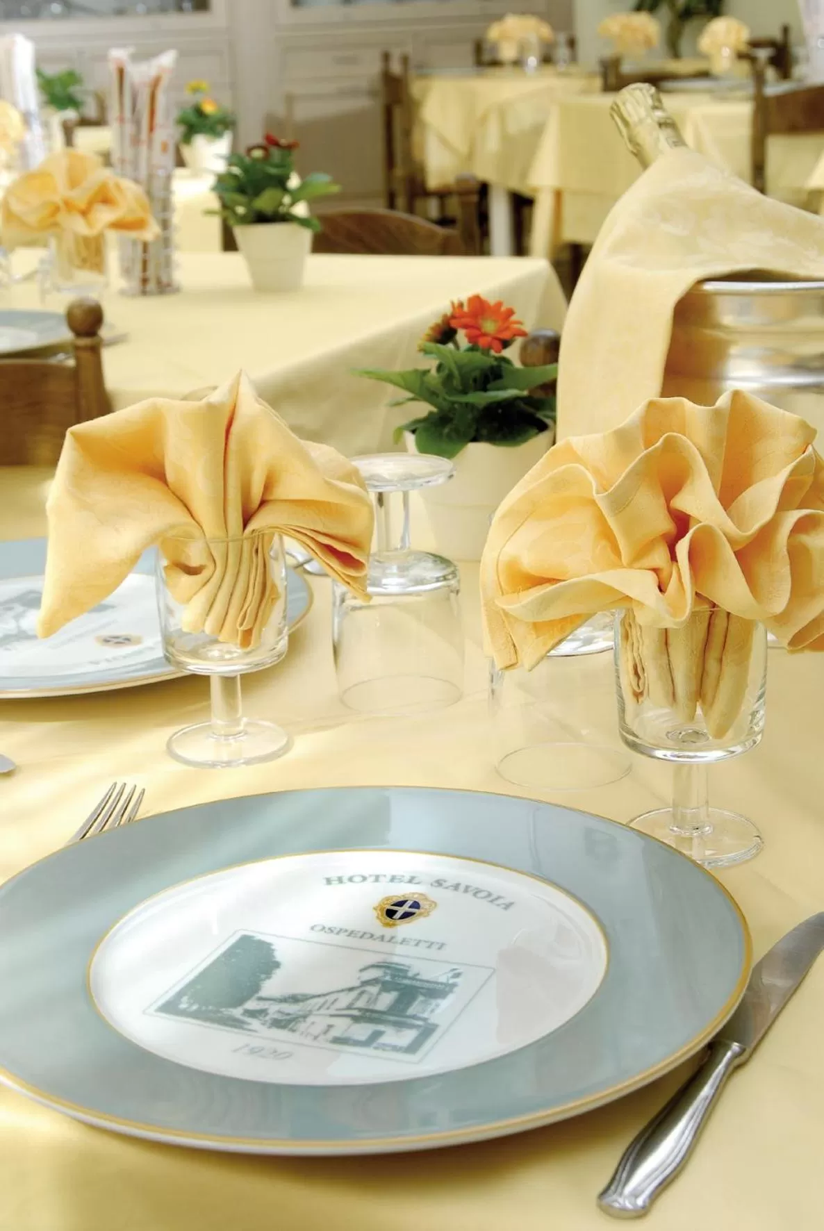 Restaurant/places to eat in Albergo Savoia