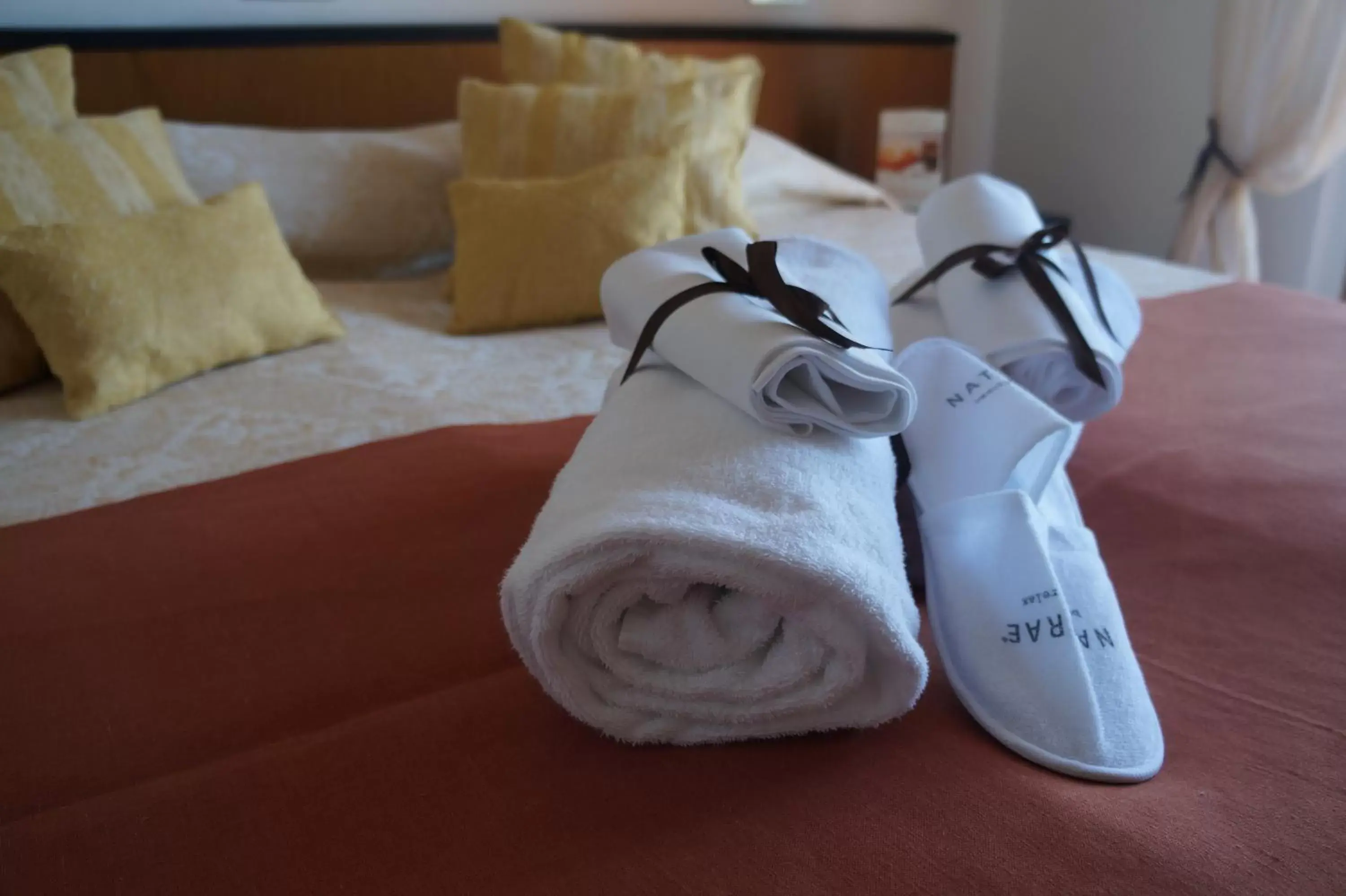 Double or Twin Room with Balcony in Hotel Montecarlo Double or Twin Room with Balcony in Hotel Montecarlo