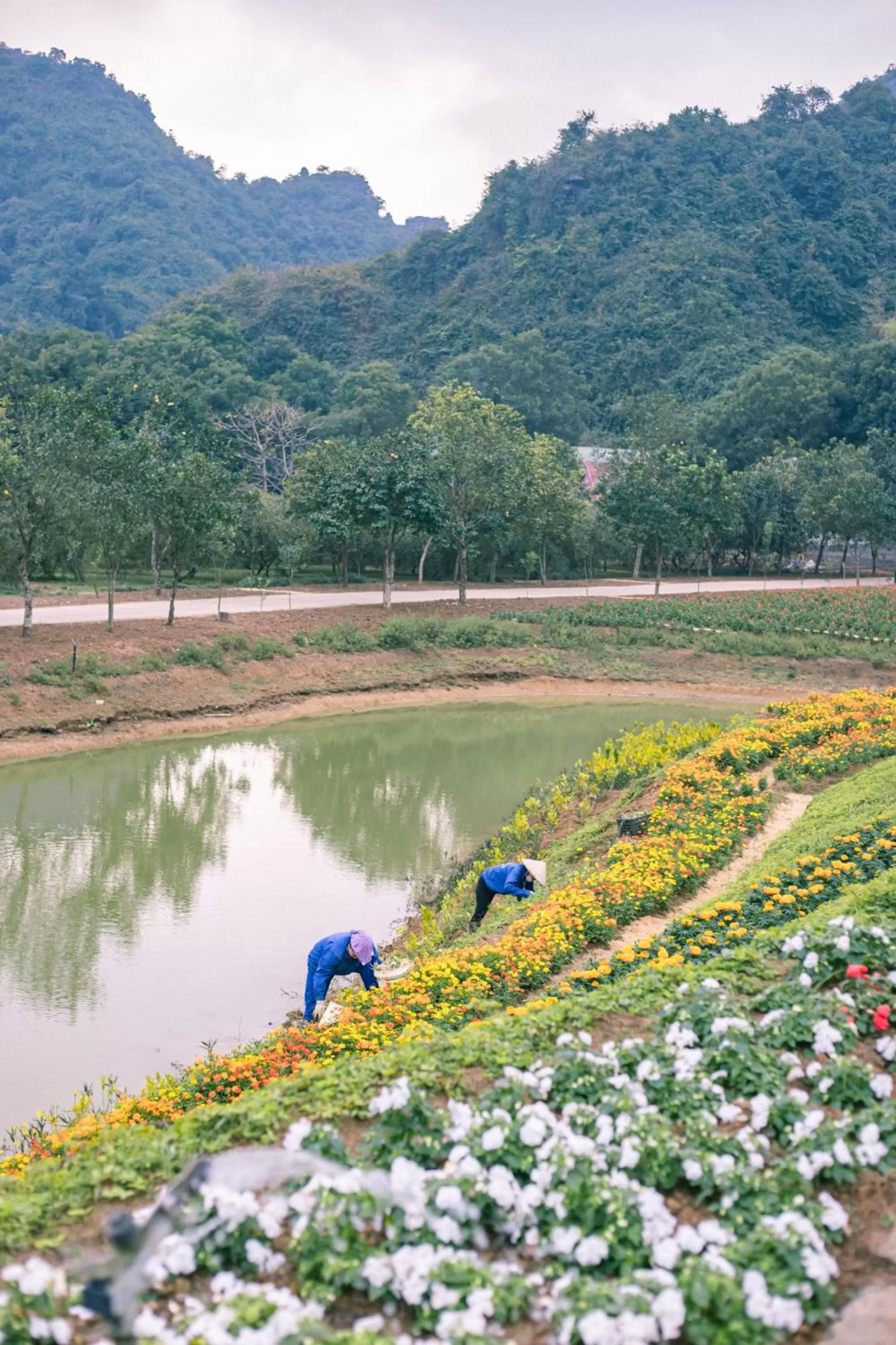 Natural landscape in Thung Nham Resort