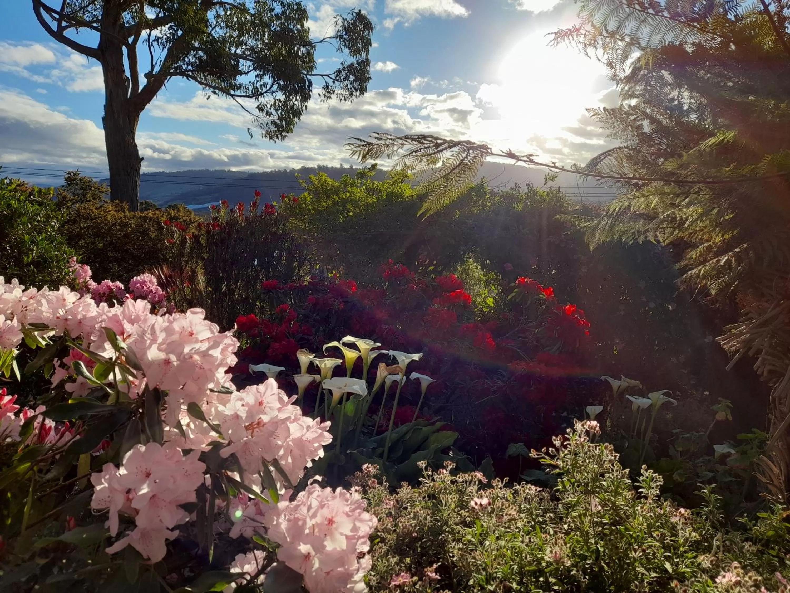 Hillside Bed and Breakfast