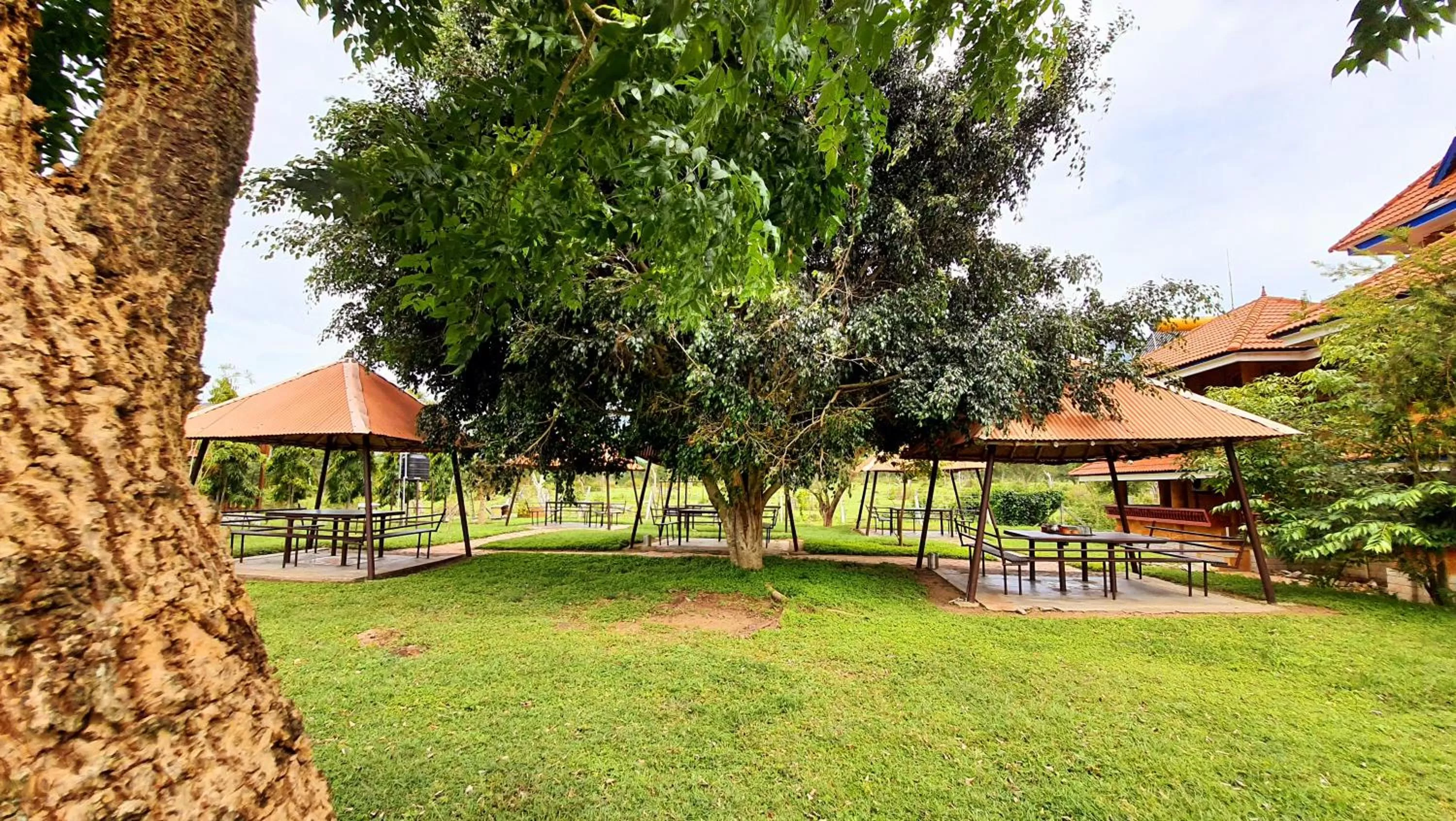 Dining area in Avadale Masinagudi - Stag Groups Not Allowed