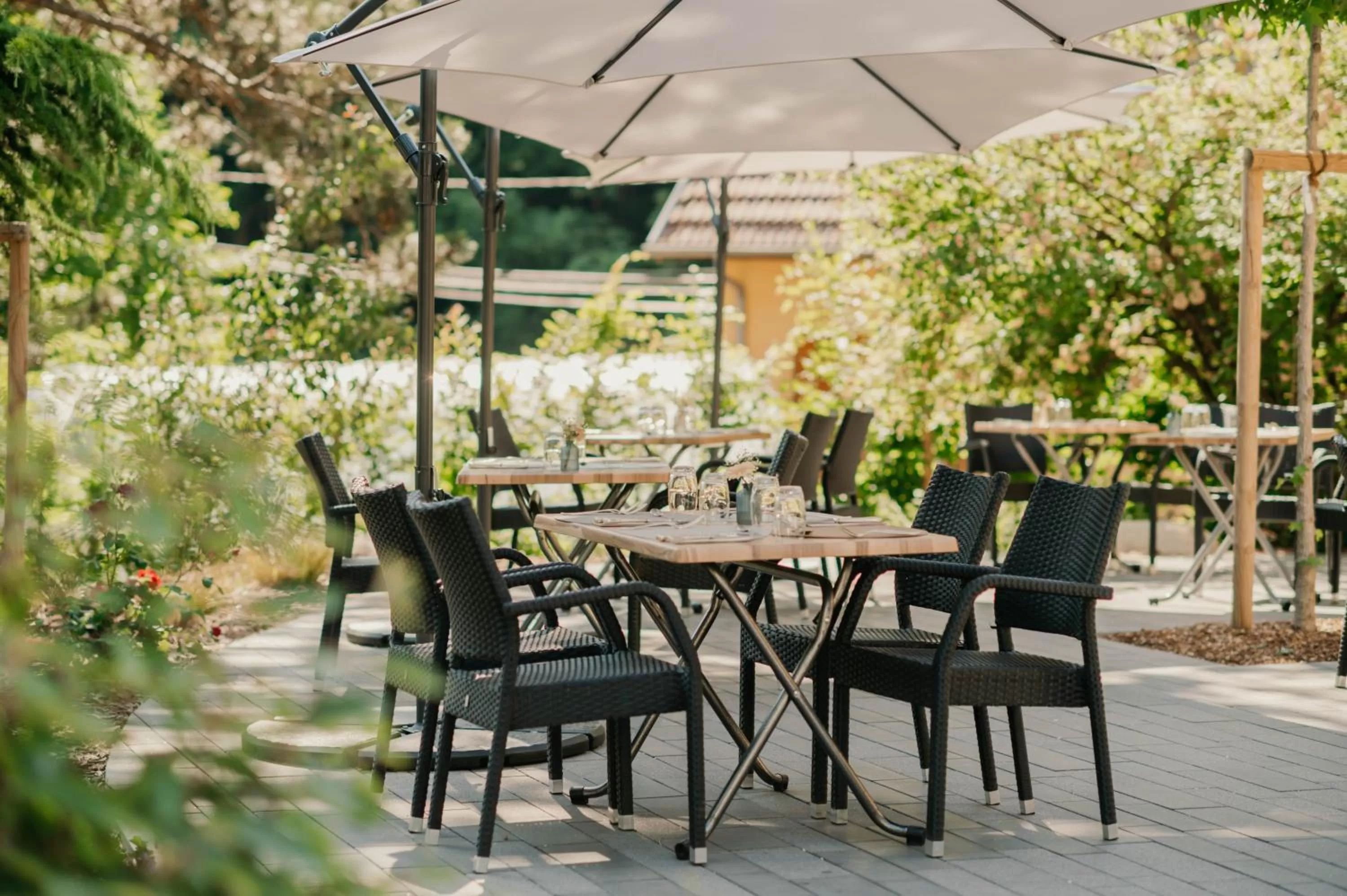 Patio in L'AO Hôtel & Restaurant L'Aigle d'Or