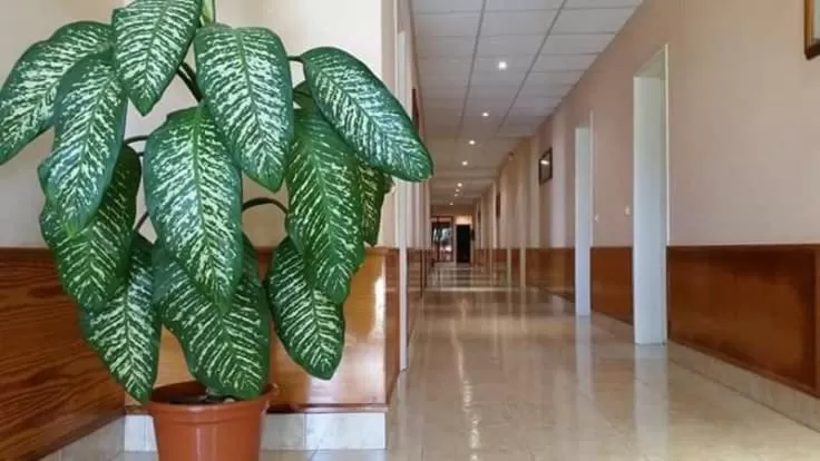 View (from property/room) in Aparthotel Santa Maria Beach